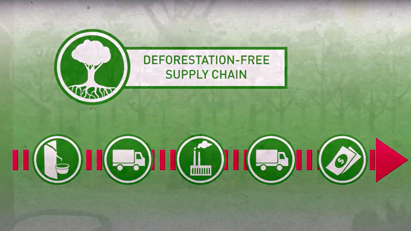 Still from the BMZ video "Sustainable supply chains through forest protection"