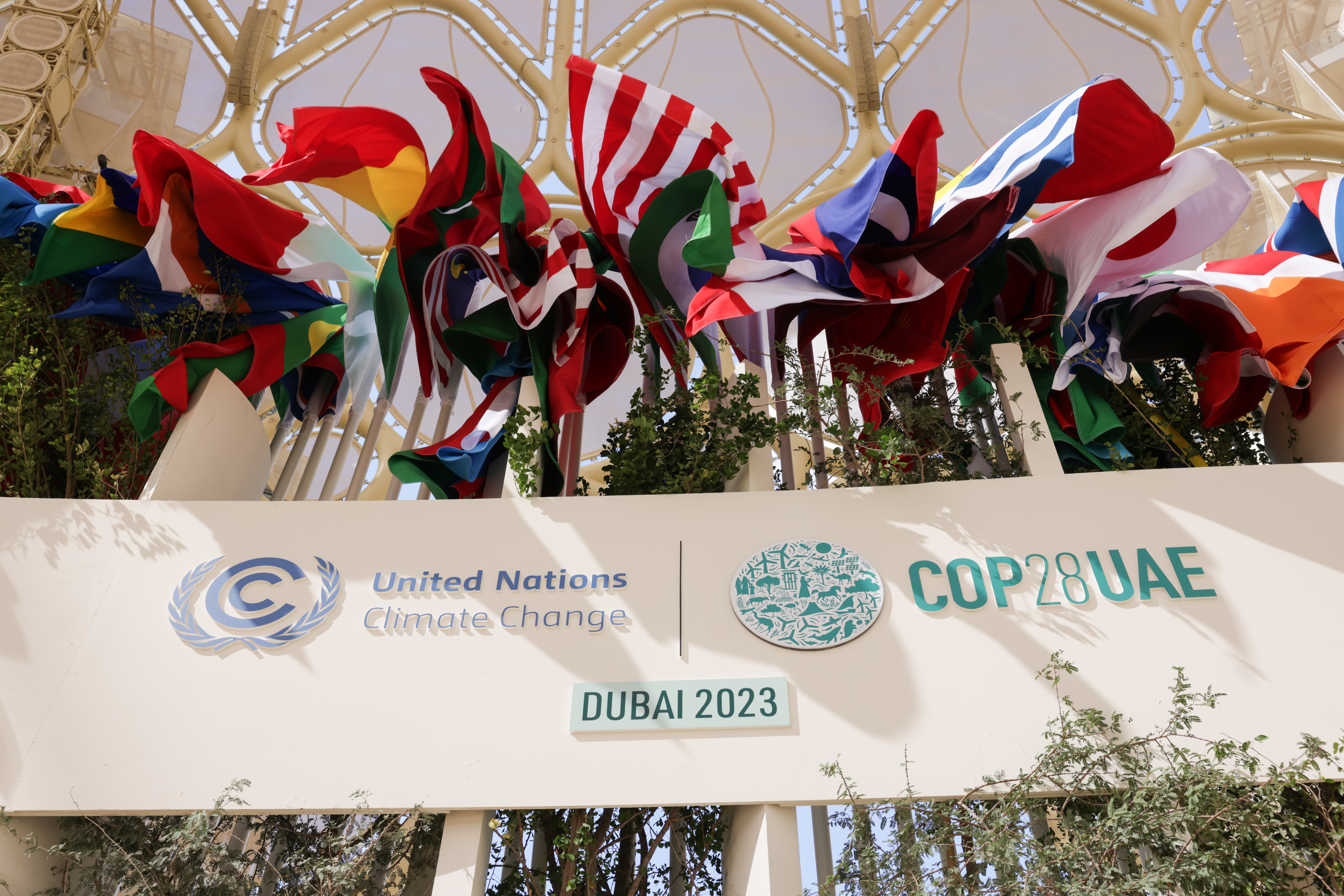 Flags on the grounds of Expo City Dubai in the United Arab Emirates, the venue for the UN Climate Change Conference 2023 (COP28)