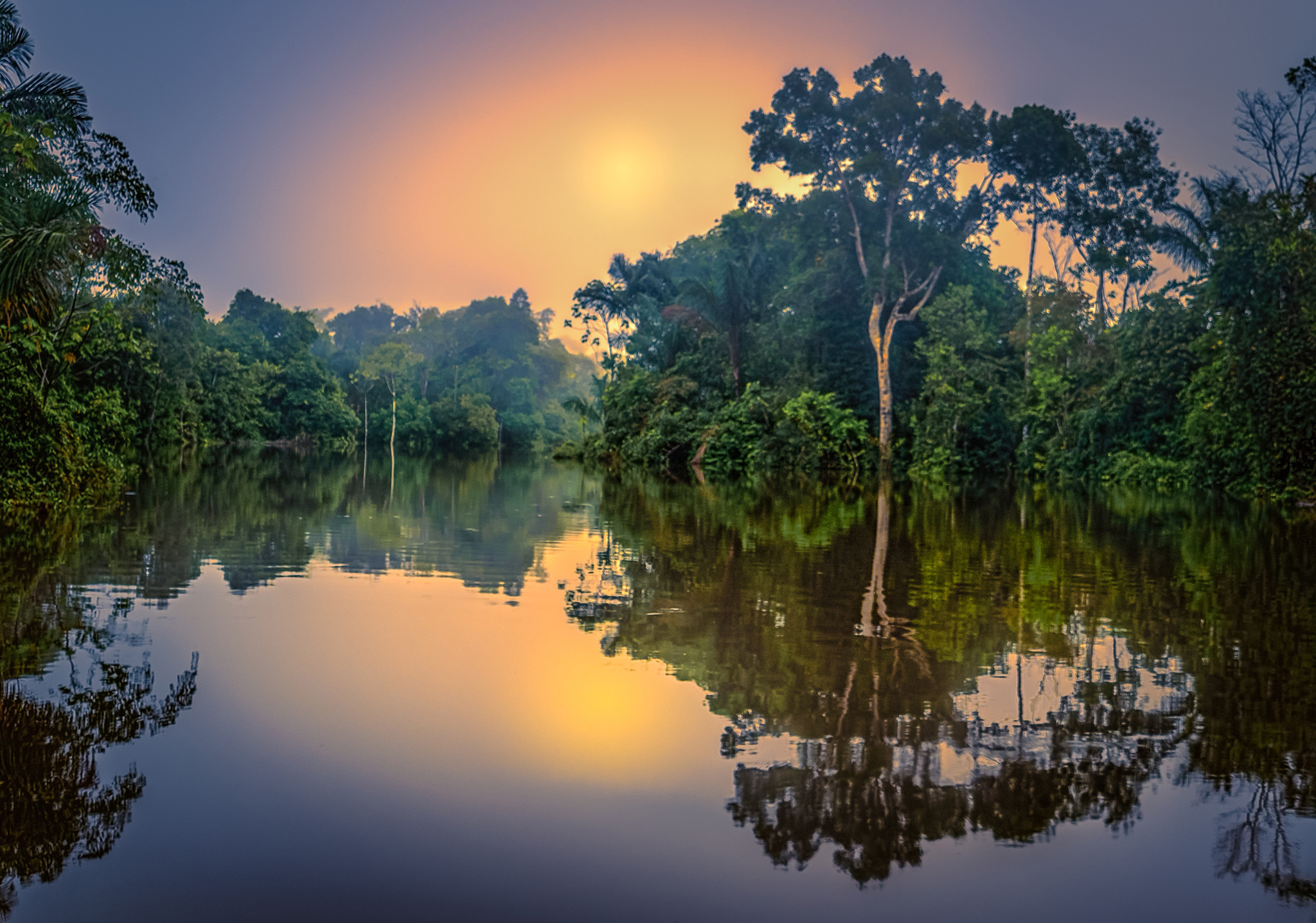 Regenwald am Amazonas in Peru