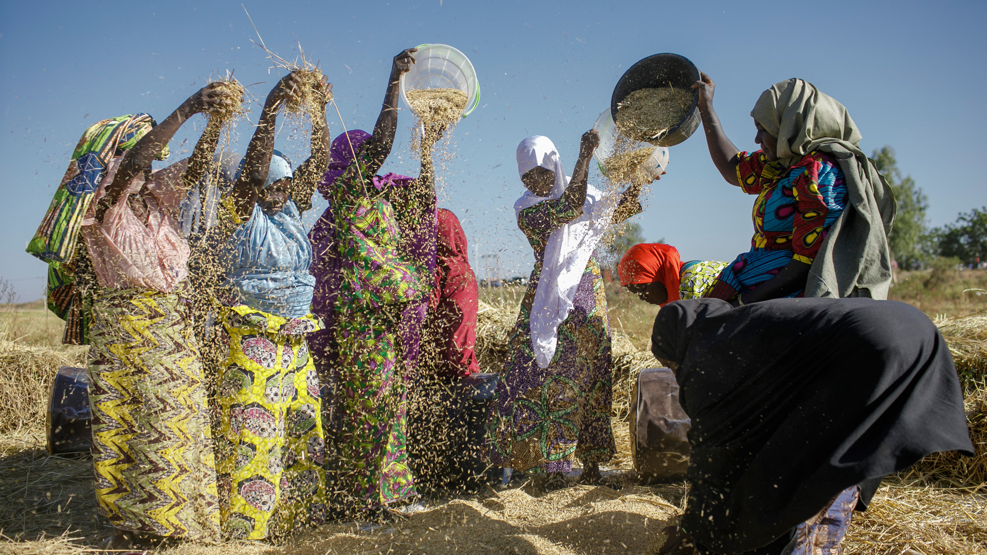 Frauen beim Reisdreschen in Sunu, Nigeria