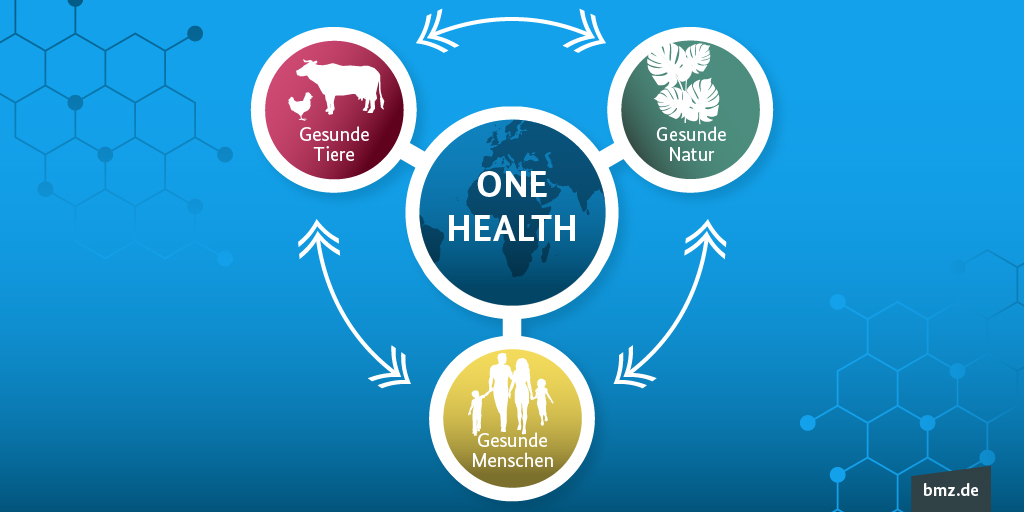 Grafische Darstellung des One-Health-Ansatzes: One Health steht im Mittelpunkt und hat Wechselwirkungen mit gesunden Menschen, gesunden Tieren und gesunder Natur. 