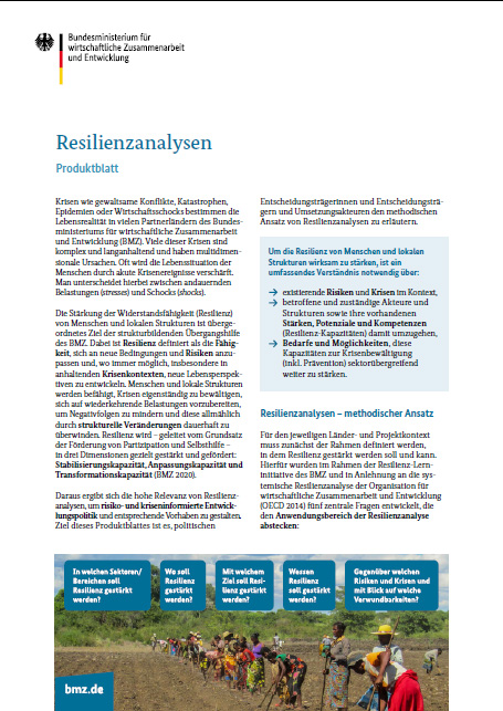Cover Produktblatt Resilienzanalysen