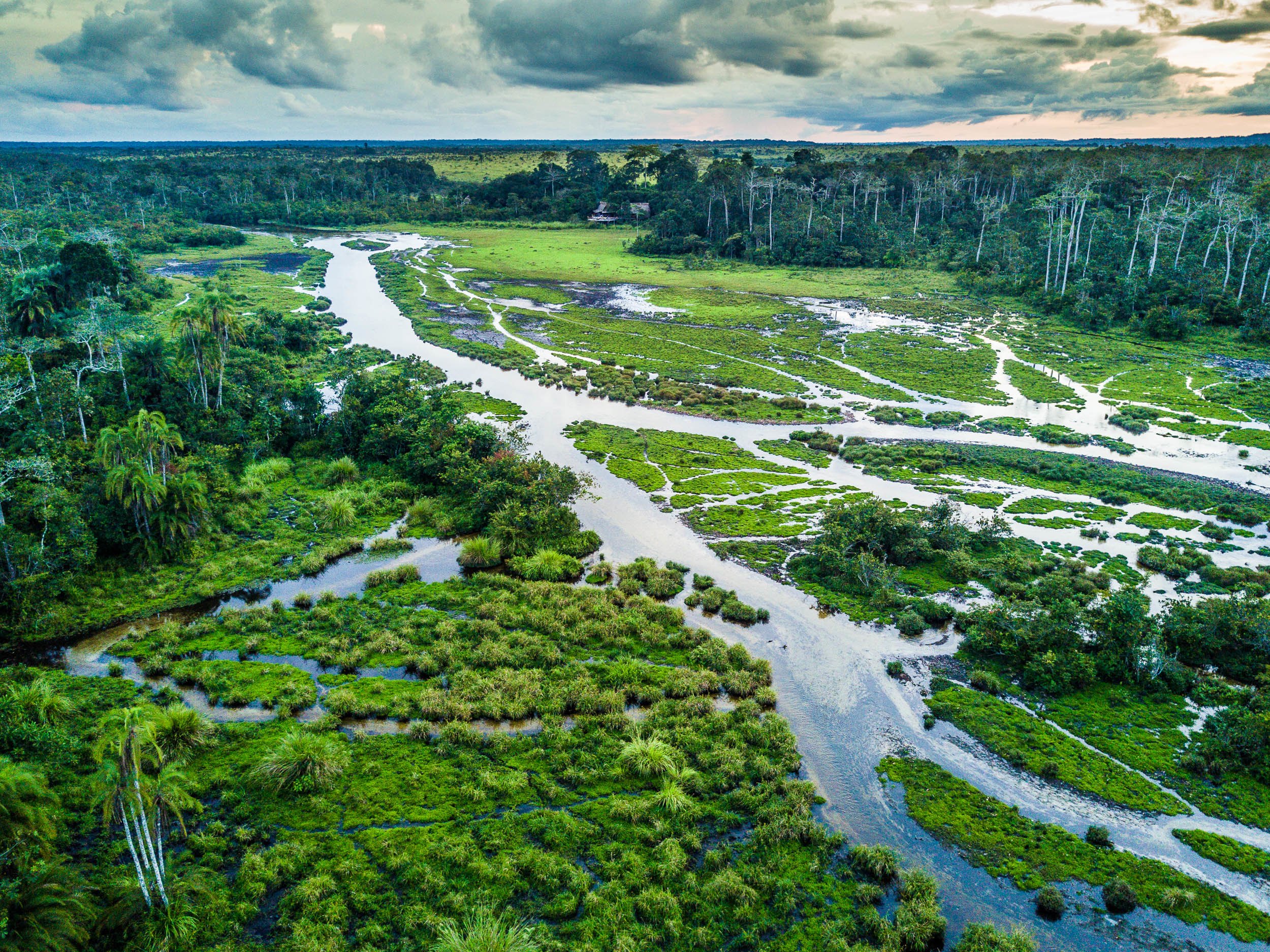 Odzala-Kokoua-Nationalpark in der Republik Kongo