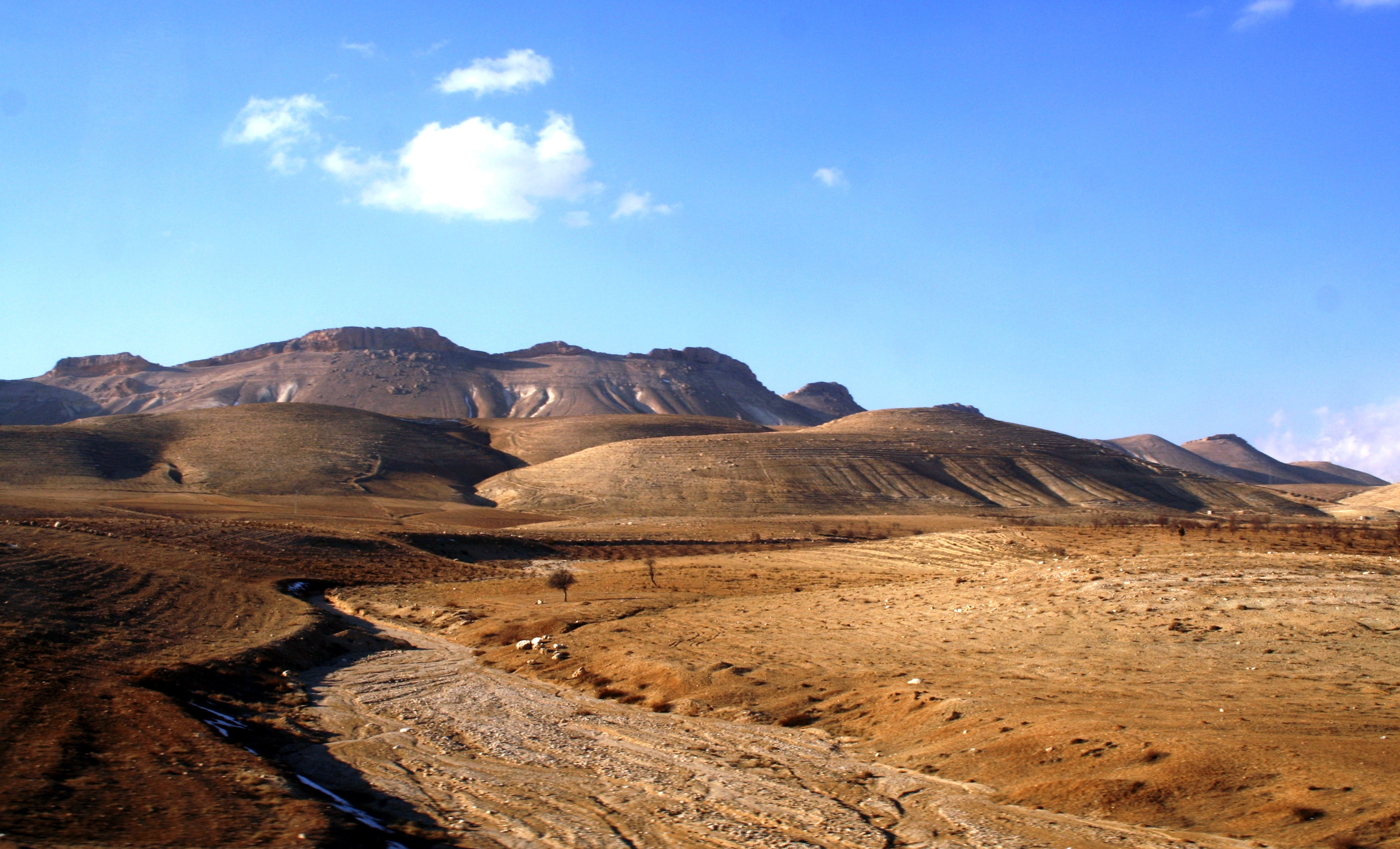 Rakka, Syrien