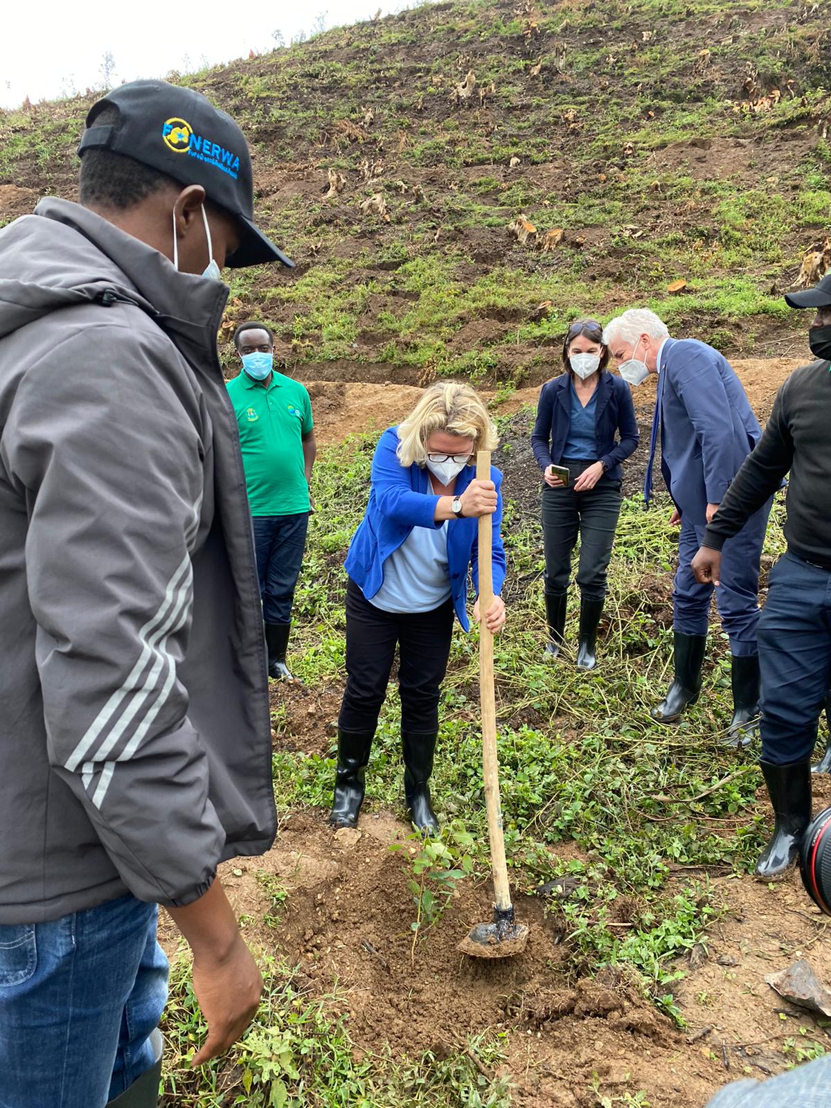 Baumpflanzaktion während des Besuchs eines Green-Climate-Fund-Projekts zu Klimaanpassung im Gicumbi Distrikt im Norden Ruandas