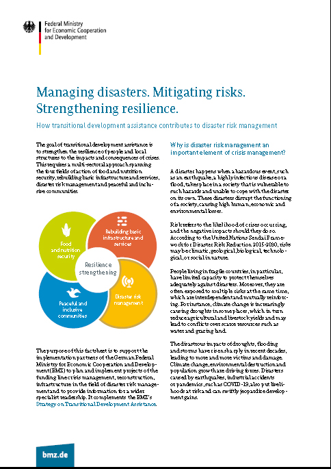 managing disasters mitigating risks