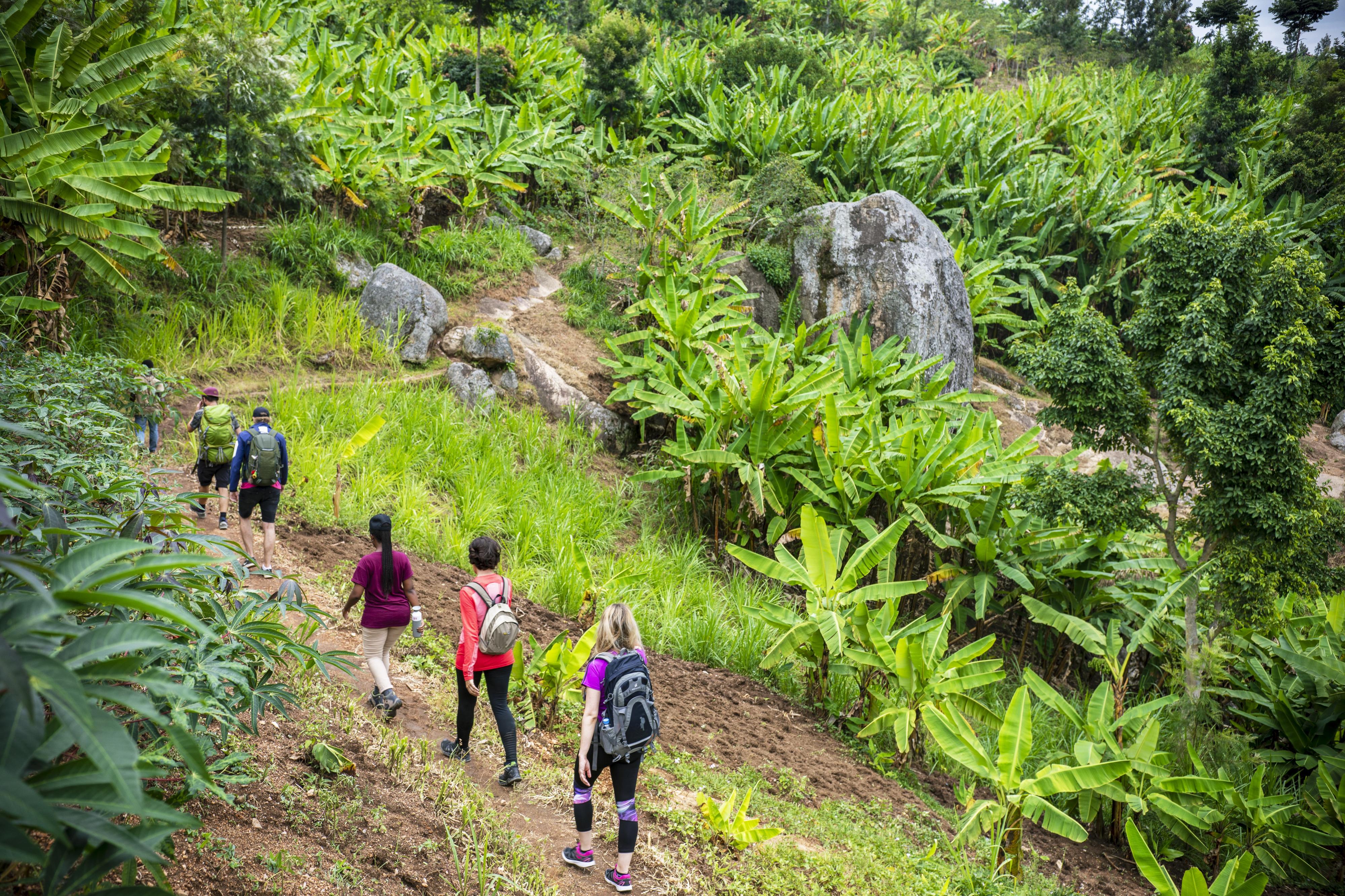 Wandern auf dem Kongo-Nil-Pfad in Ruanda