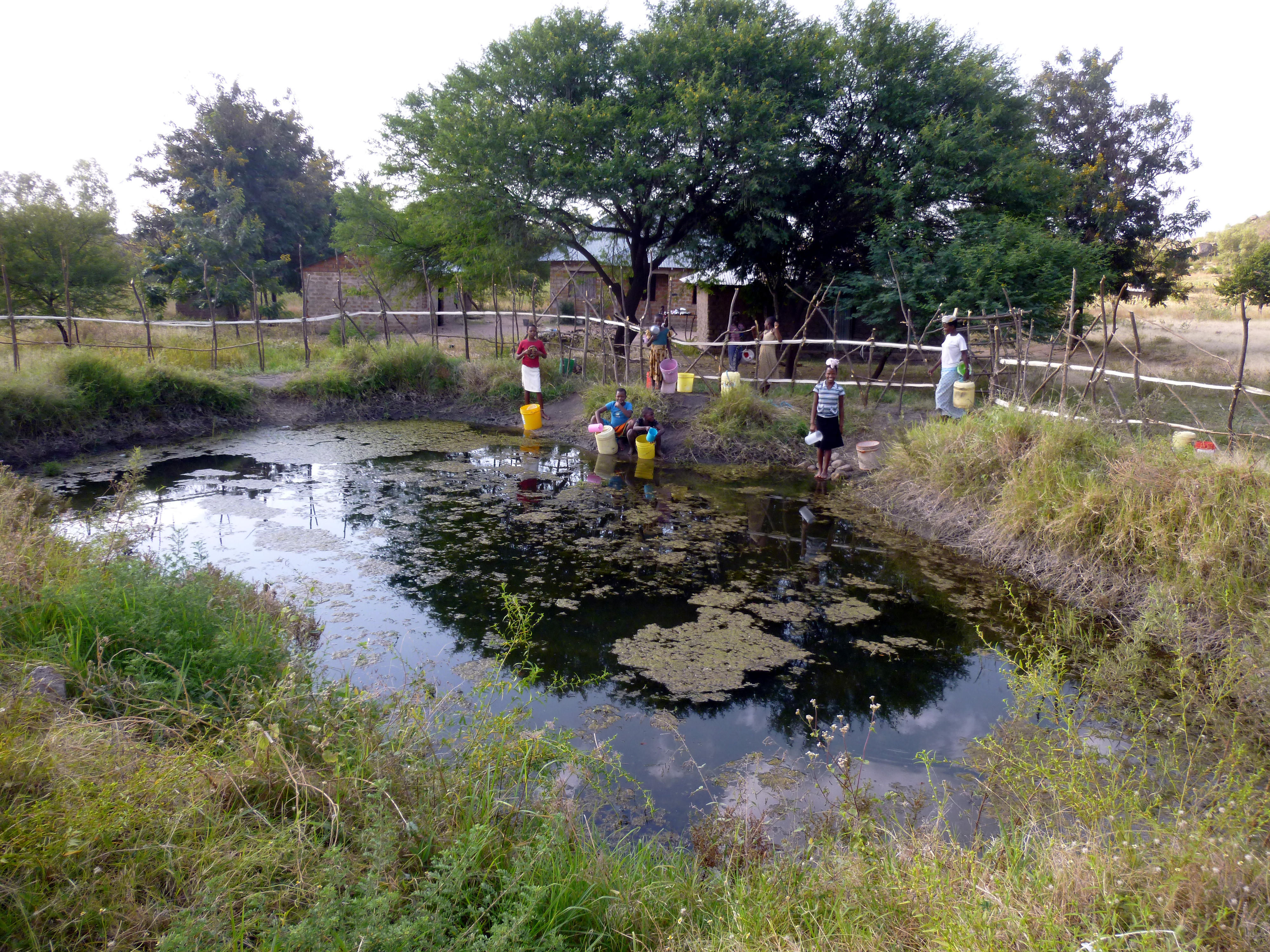 Durch Verdunstung und Dürreperioden ist die derzeitige Trinkwasserversorgung in Tansania nicht mehr sicher. Mehrere Personen holen Wasser aus einem offenen, mit Wasserpflanzen bewachsenen Teich. Sie haben dazu große Plastikgefäße und -fässer mitgebracht. 