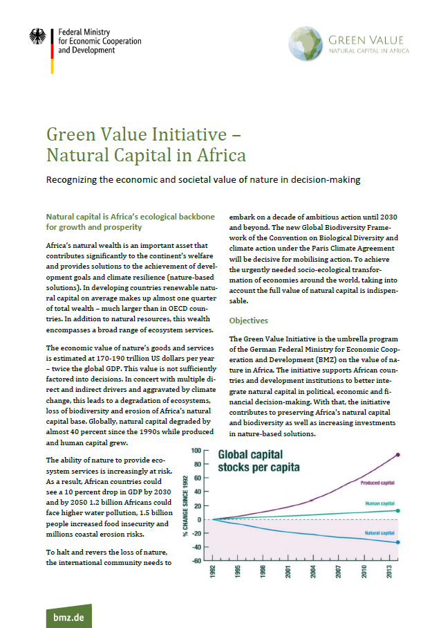 Cover: Green Value Initiative – Natural Capital in Africa | Recognizing the economic and societal value of nature in decision-making