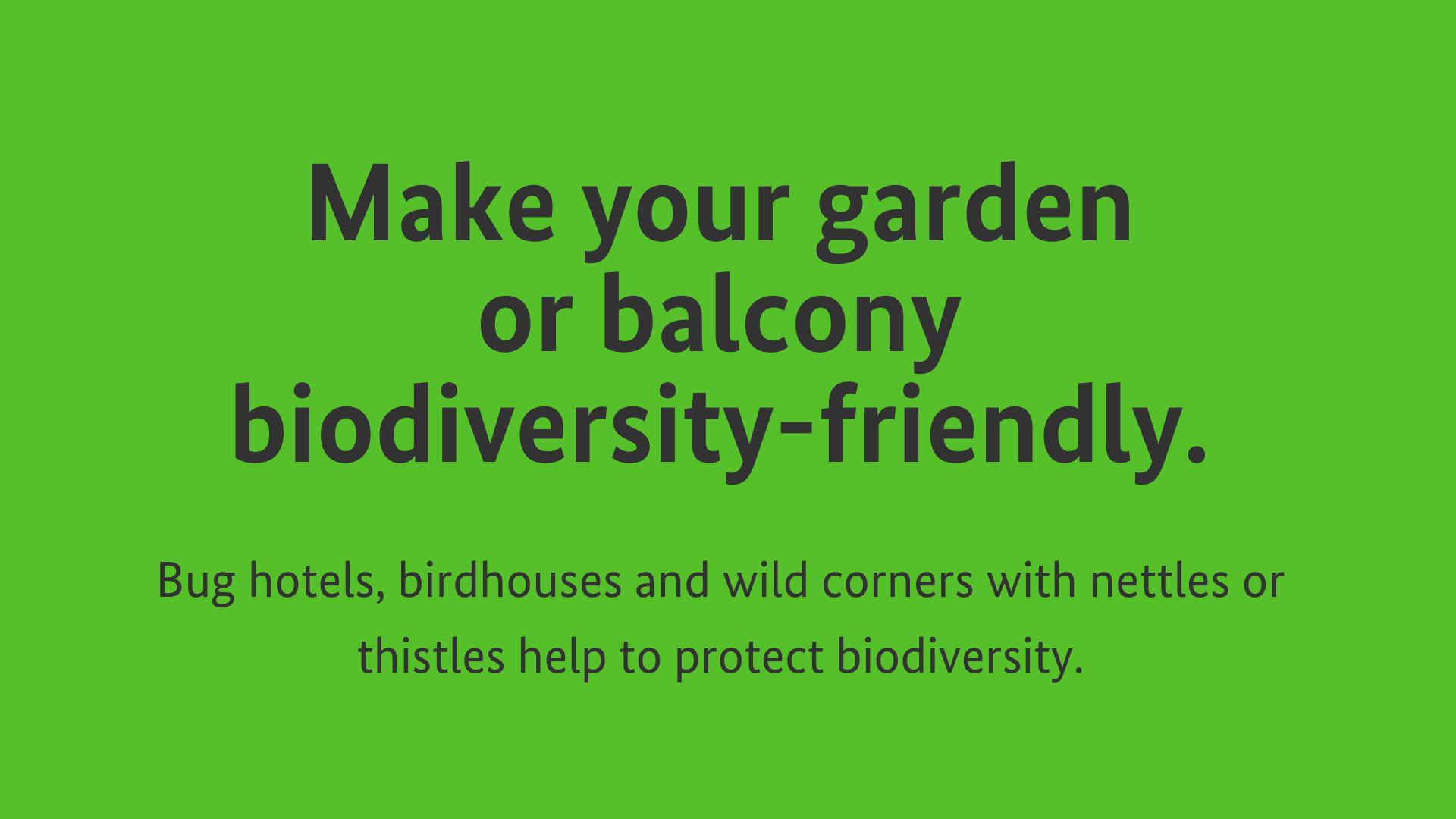 Make your garden or balcony biodiversity-friendly. Bug hotels, birdhouses and wild corners with nettles or thistles help to protect biodiversity.