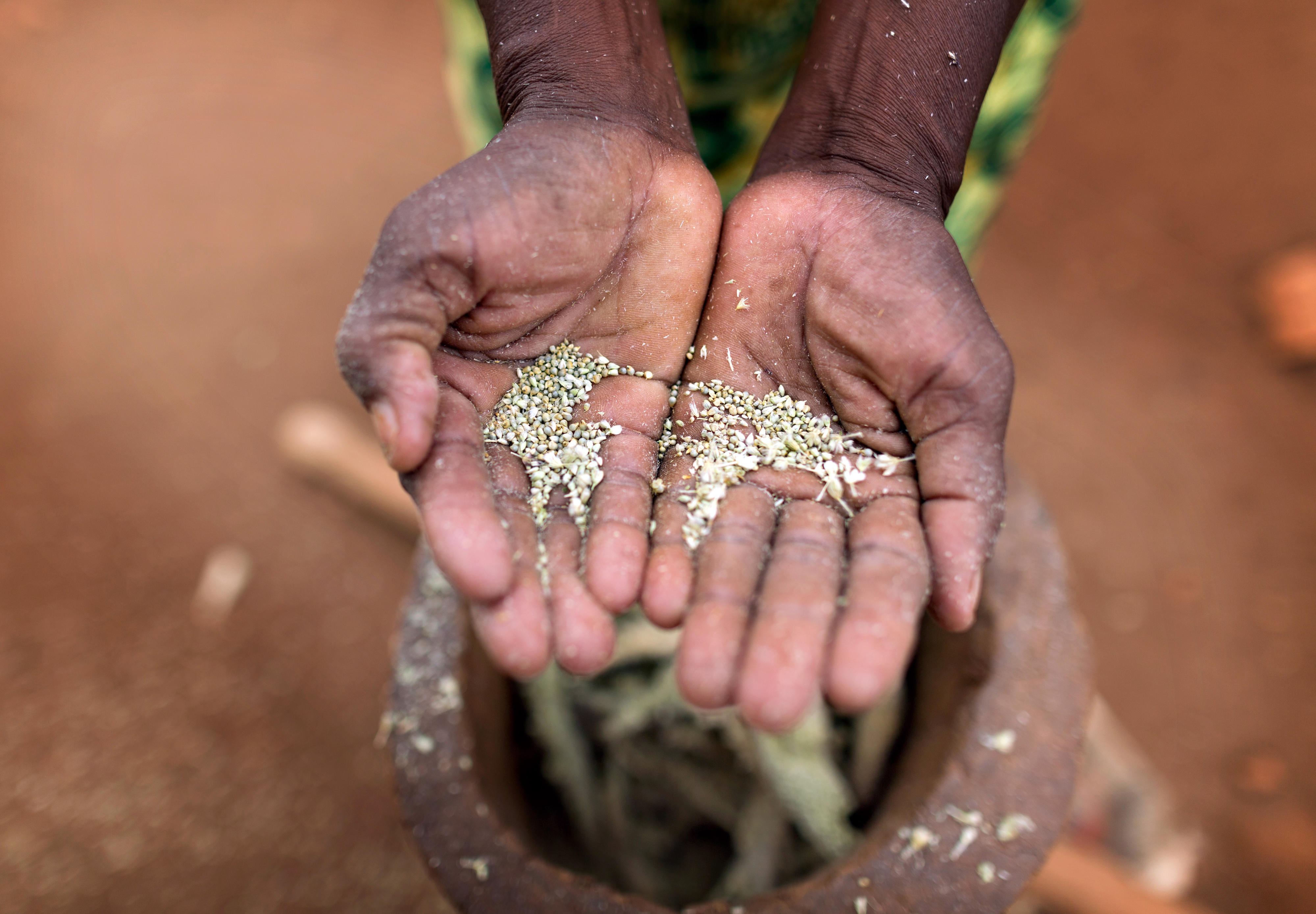 A woman shows the result after pounding millet on a smallholder farm in Ishiara, Kenya.