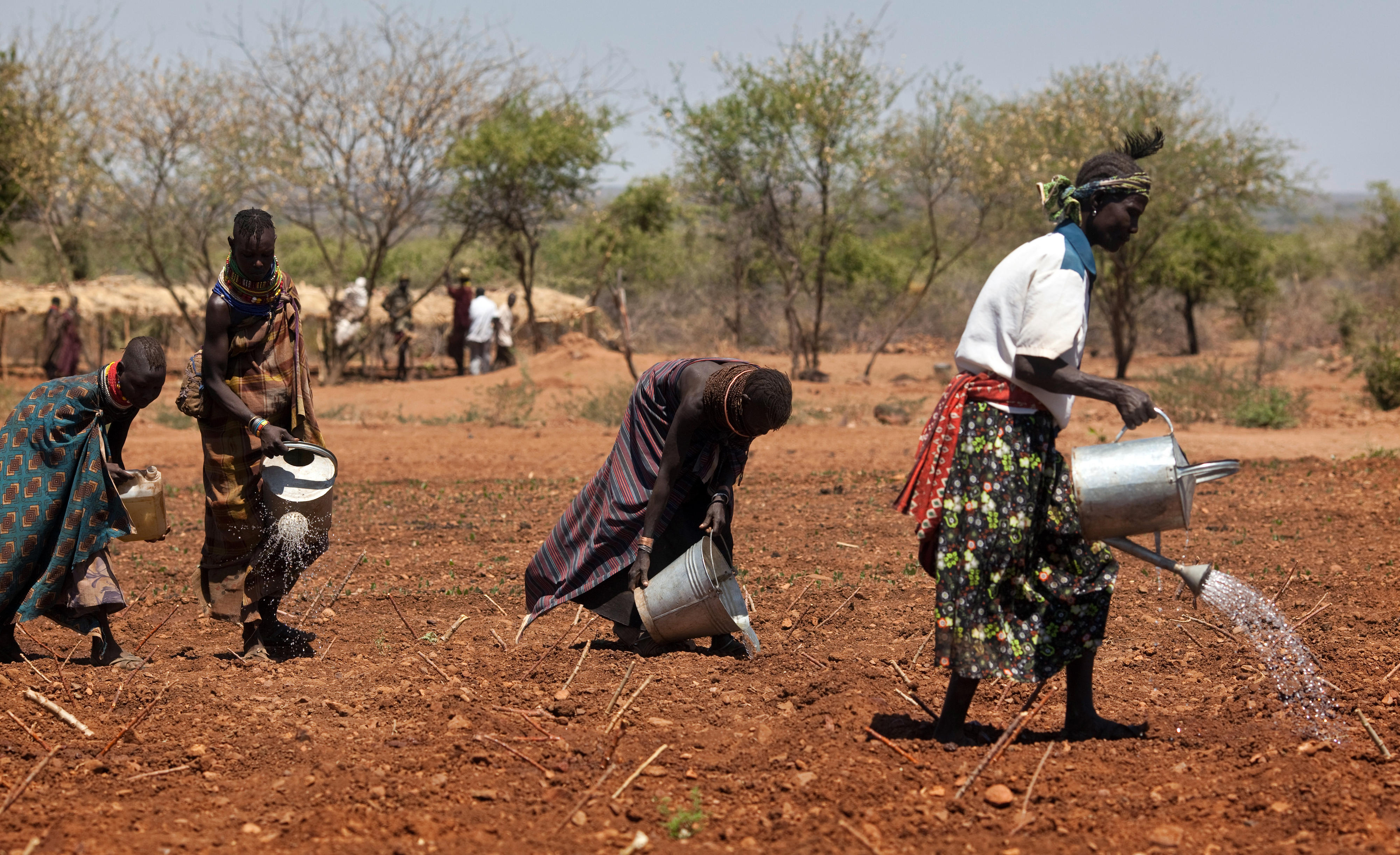 Nomads in northern Kenya working in the fields