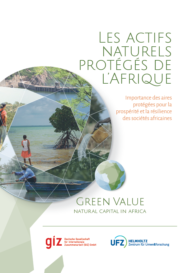 Cover: Les actifs naturels protégés de l’Afrique