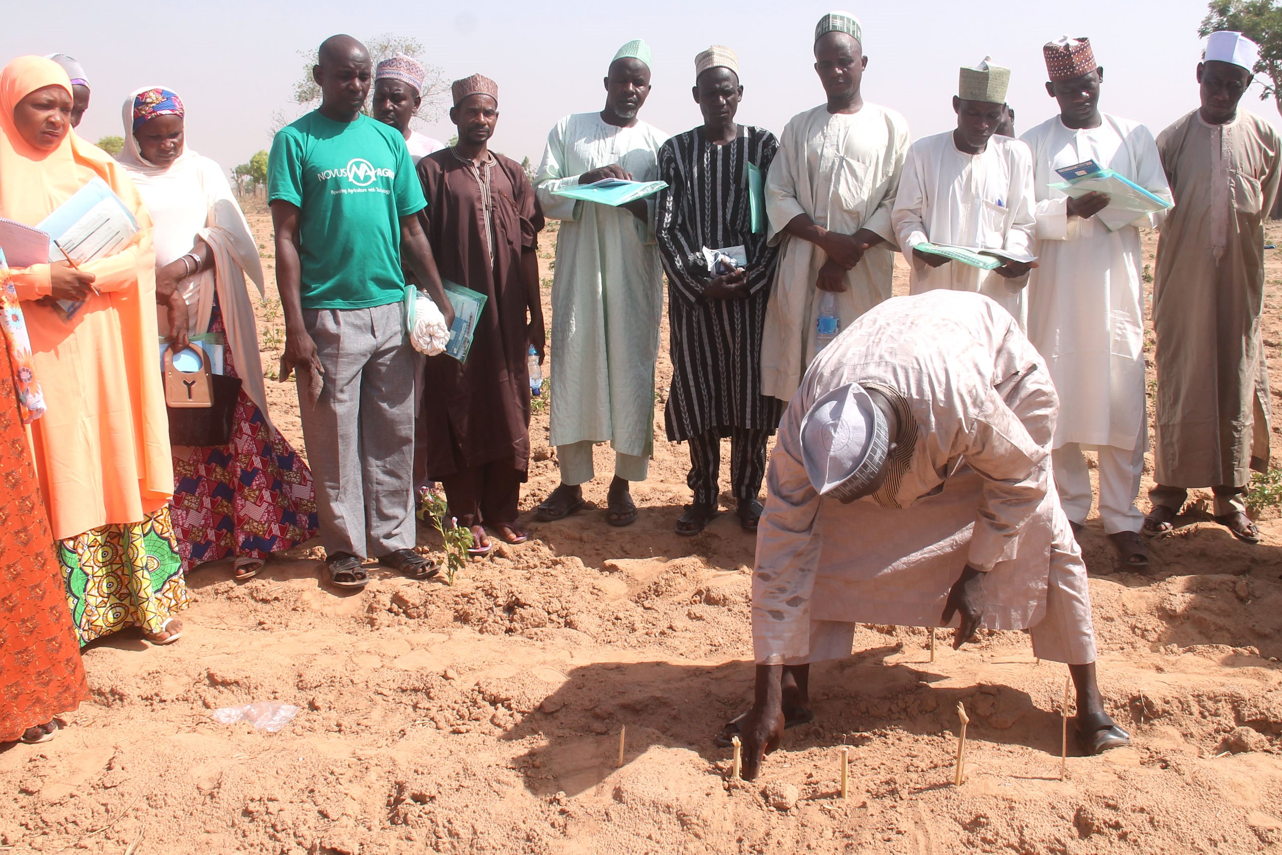 Grünes Innovationszentrum Nigeria: Workshop, bei dem Trainerinnen und Trainer unter anderem lernen, wie groß der Abstand zwischen Maispflanzen sein sollte, damit sie optimal gedeihen können.