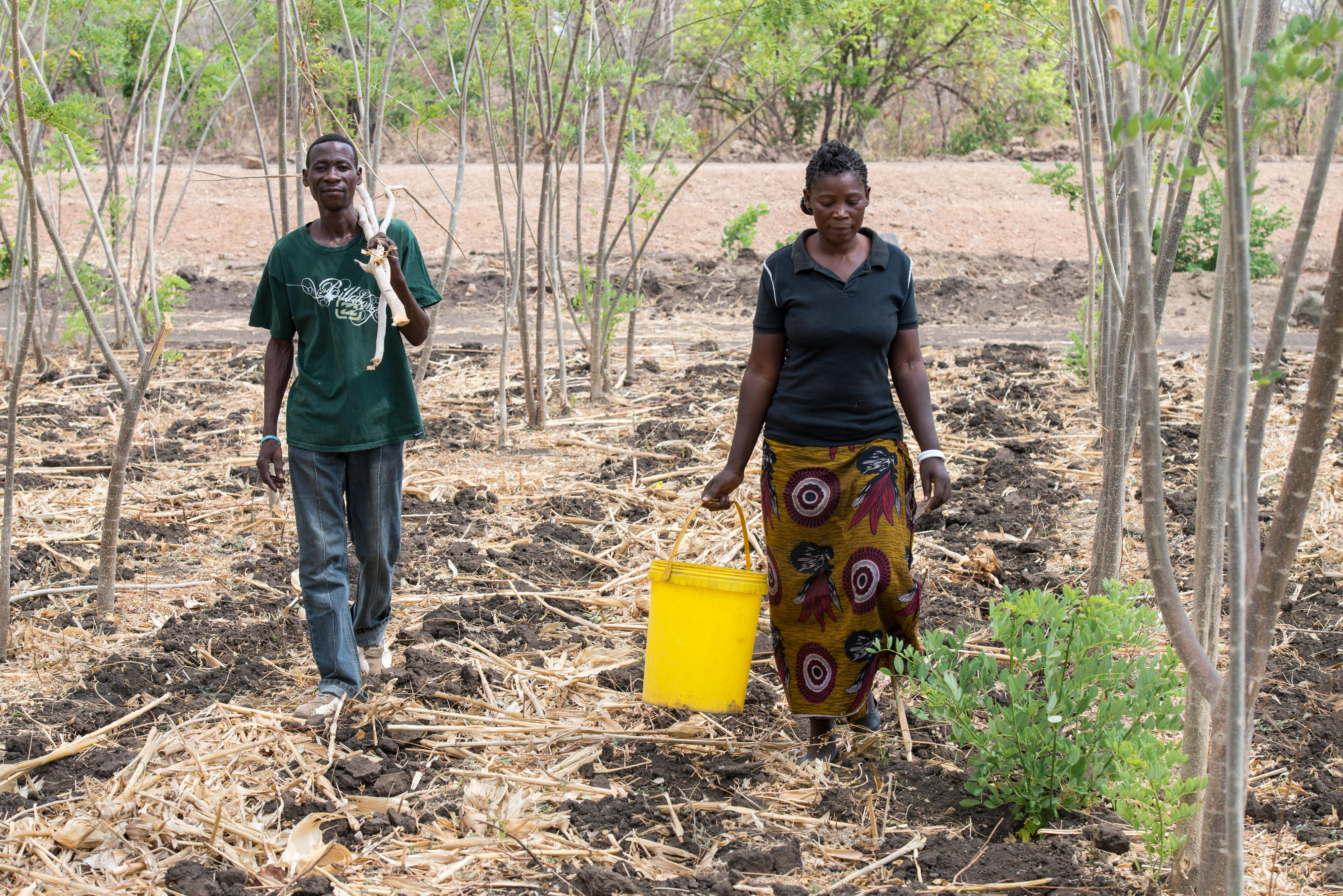 Sambia: Harison und Sarah Mbao sind Vertragspartner von COMACO (Community Markets for Conservation). Das gemeinnützige Unternehmen kauft die Erdnussernte der kleinbäuerlichen Familien zu einem fairen Preis auf.