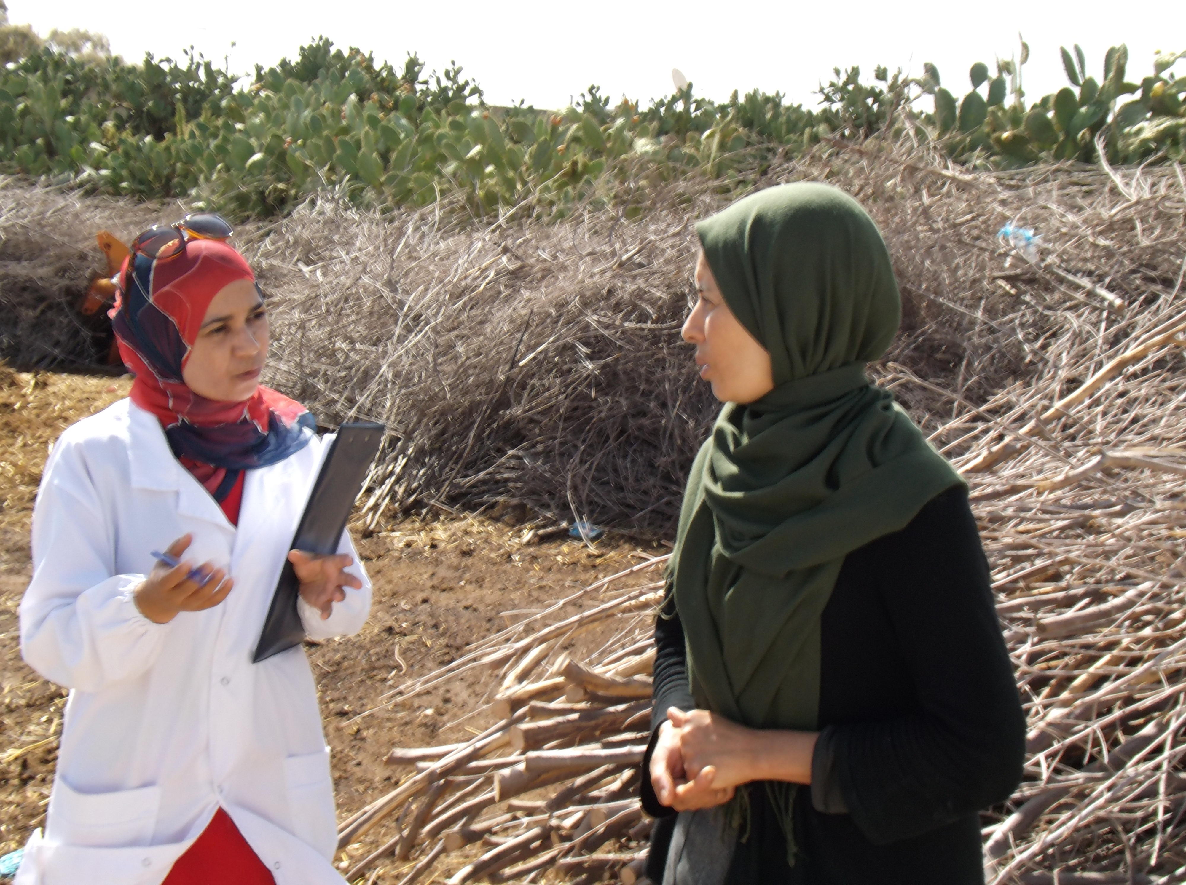 Tunesien: Mitglieder einer Kooperative besprechen die Futtermischung für ihre Schafe und Kühe.