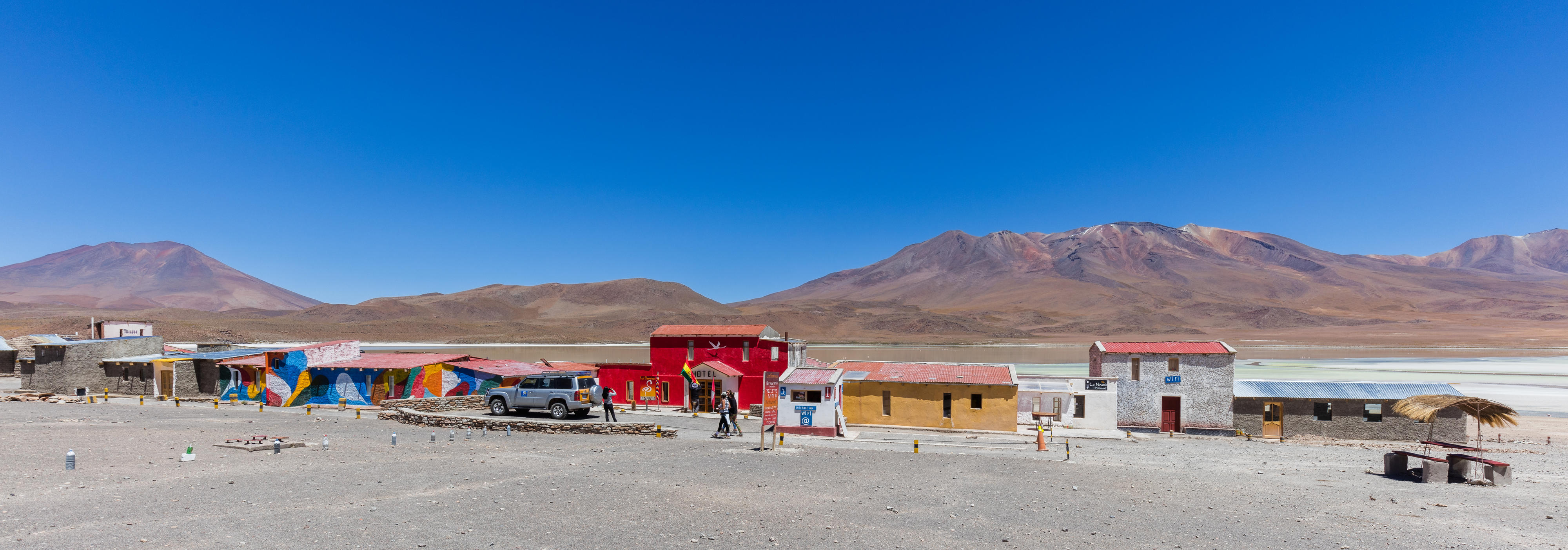 Oasis at the Laguna Hedionda salt lake in Bolivia