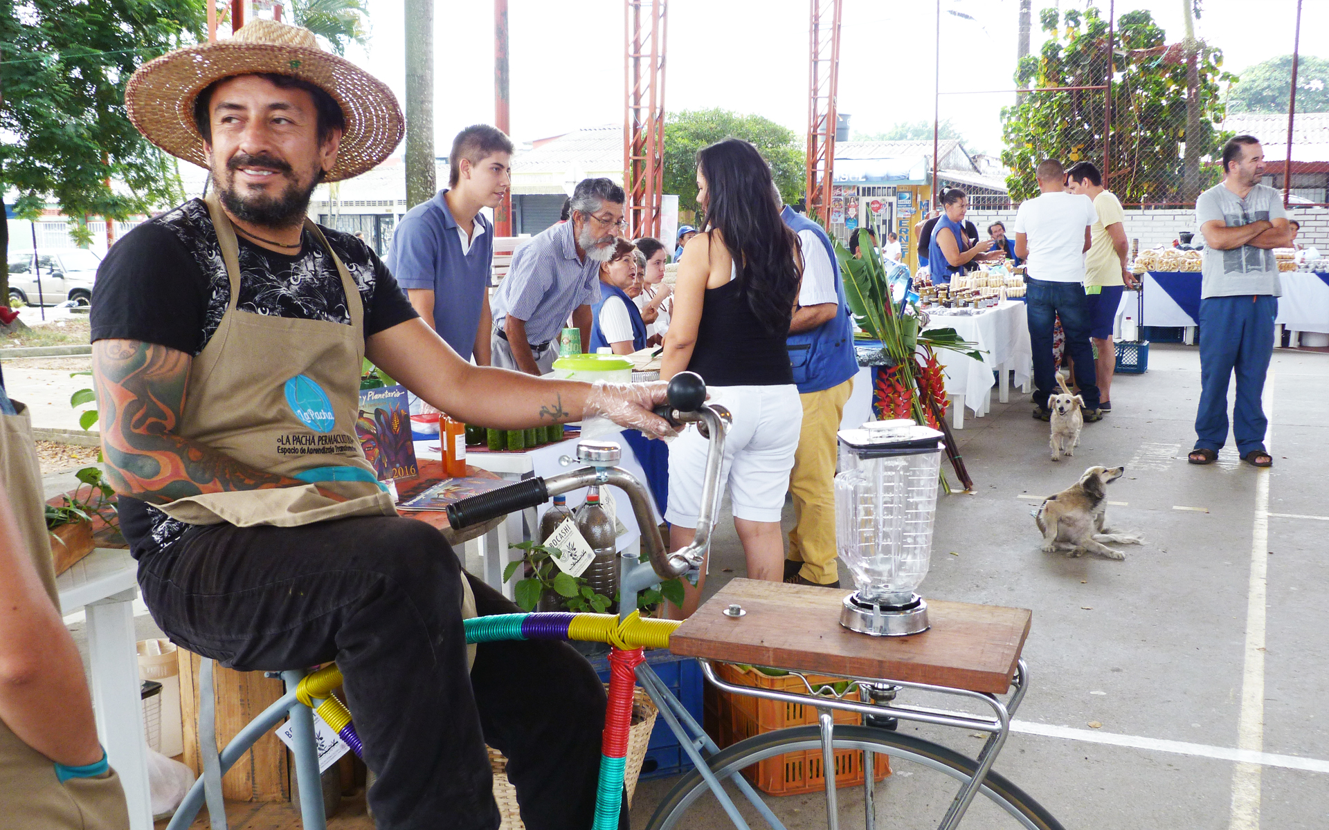 Farmers' markets as a "new" marketing model: For the farmers from the remote villages of the Departamento del Meta, it is difficult to market their products - the roads are poor and supermarkets are too far away as sales opportunities. With the support of the regional university, they are looking for new ways to sell their fruit and vegetables more efficiently.