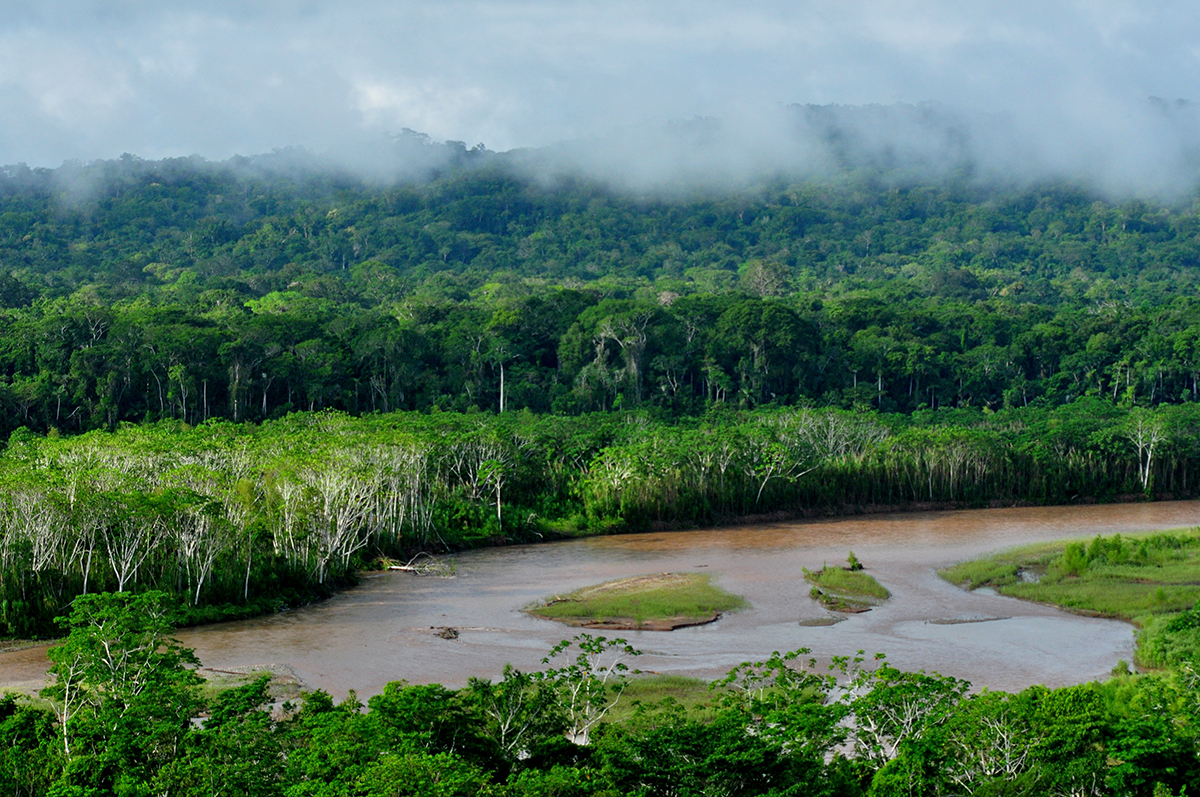 River in the Madidi National Park, Bolivia