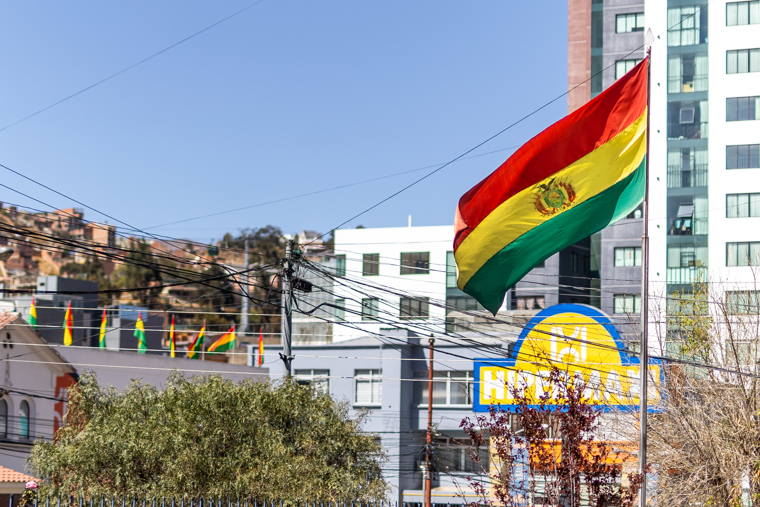 Flagge von Bolivien