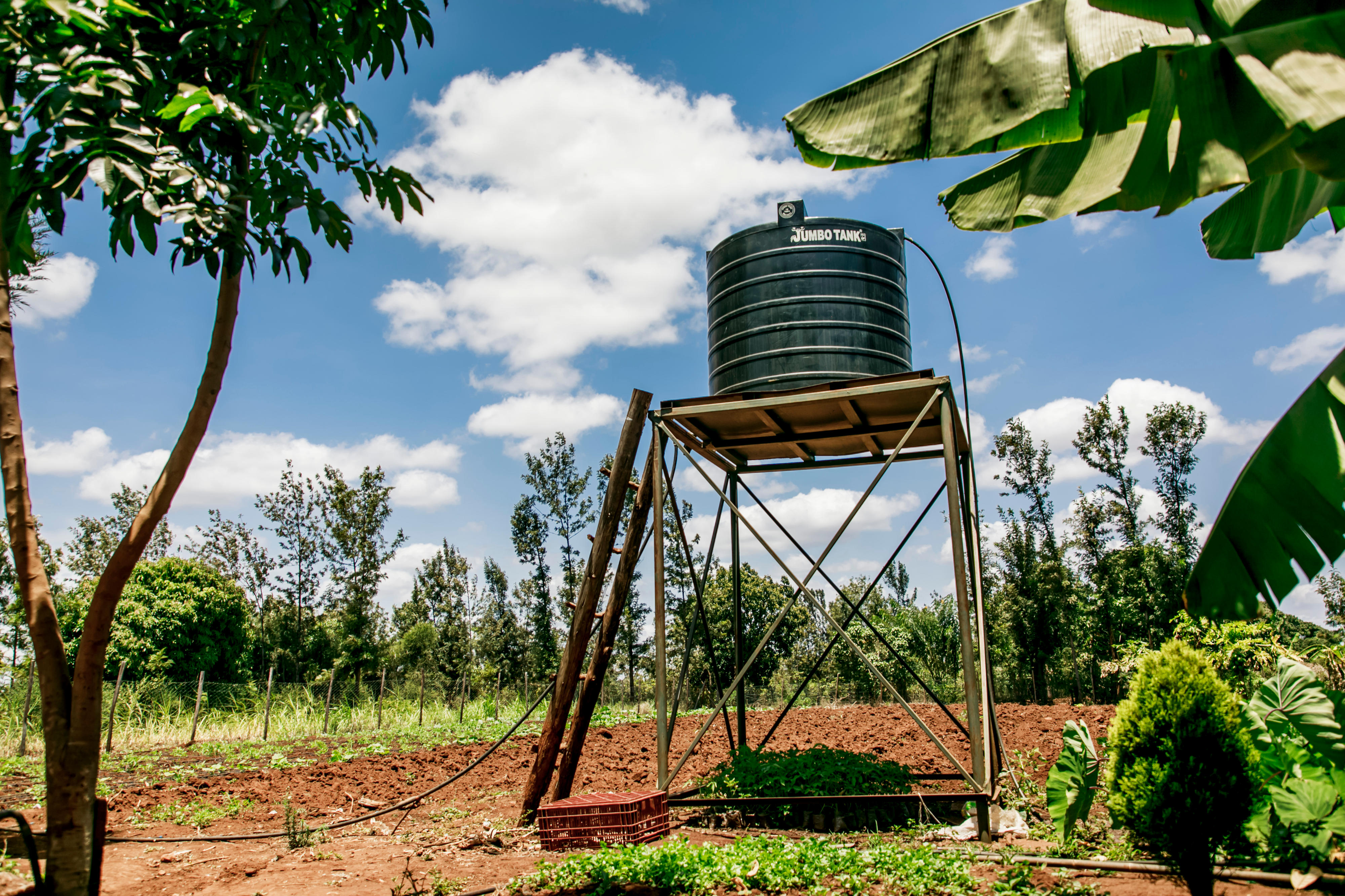 Bewässerungssystem einer landwirtschaftlichen Kooperative in Kenia