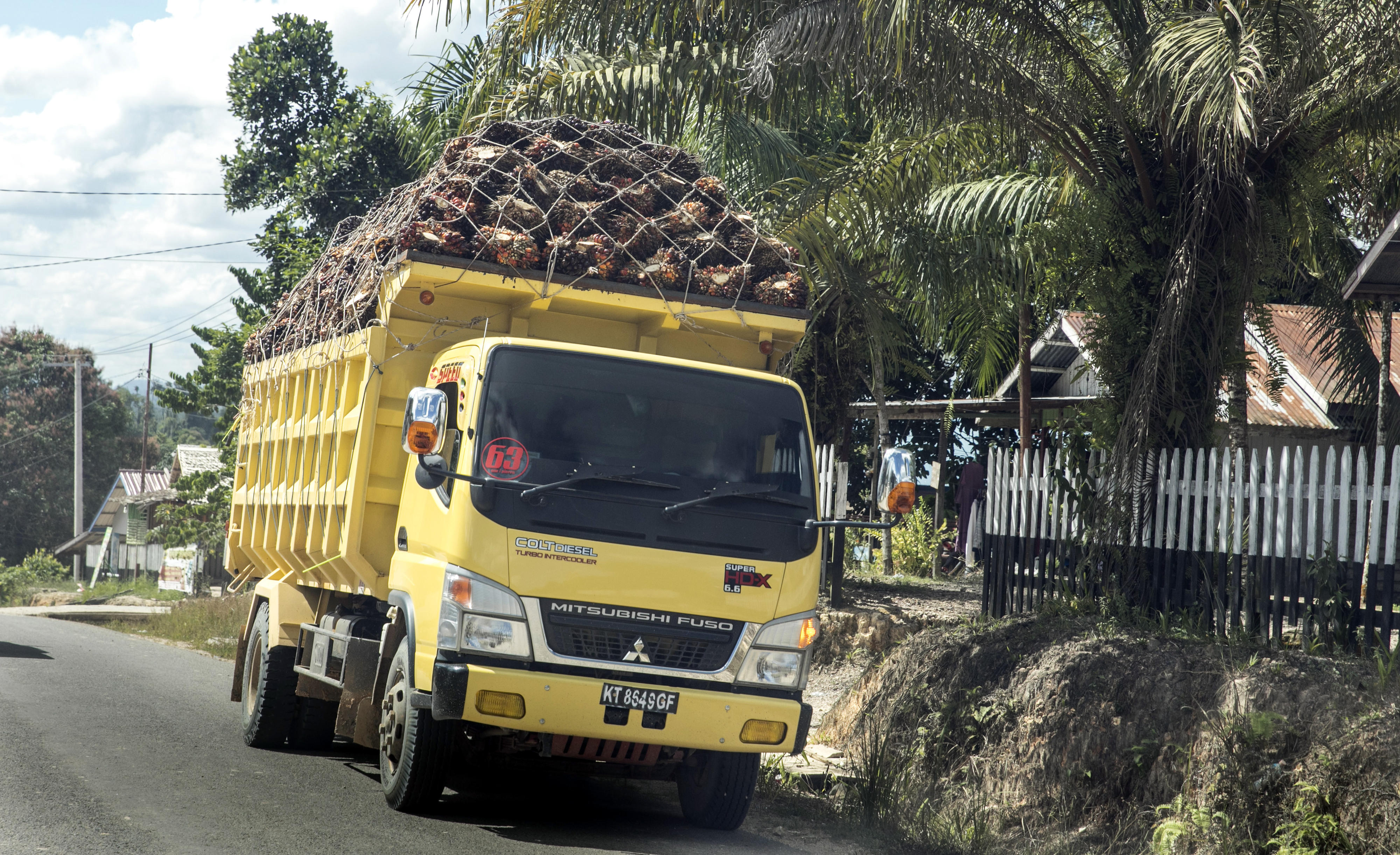 Ein mit Ölpalmenfrüchten beladener LKW im indonesischen Teil der Insel Borneo