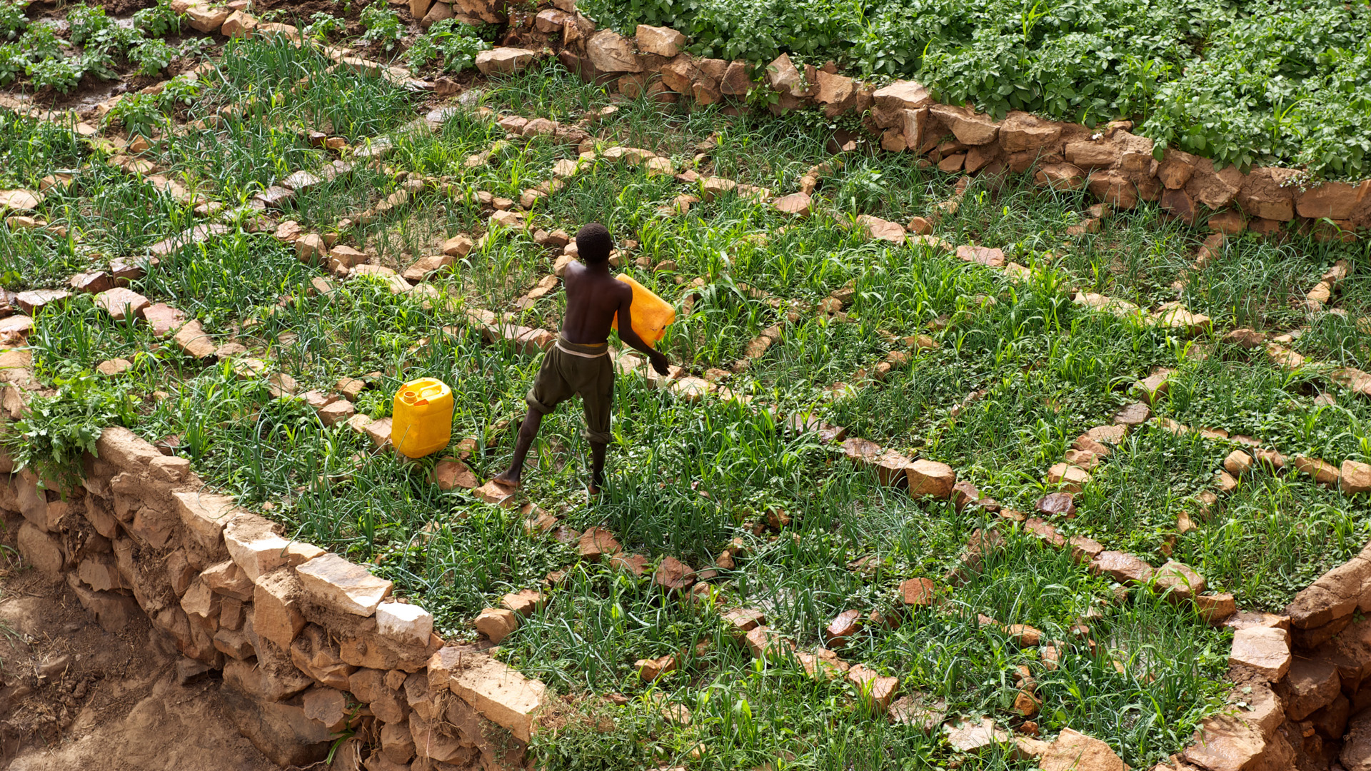 Ein Bauer in Mali bewässert sein Feld.