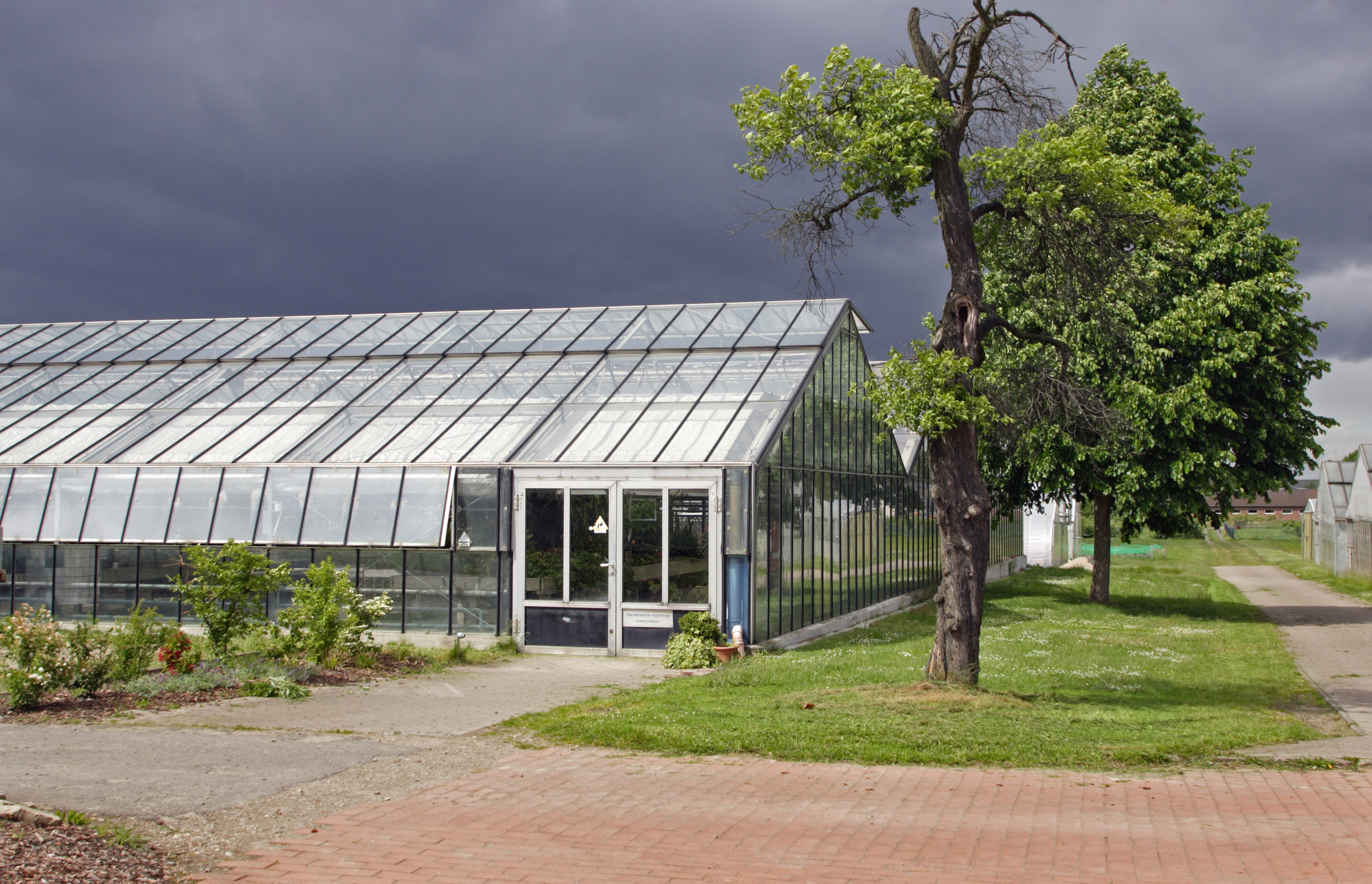 Symbolbild: Treibhaus 