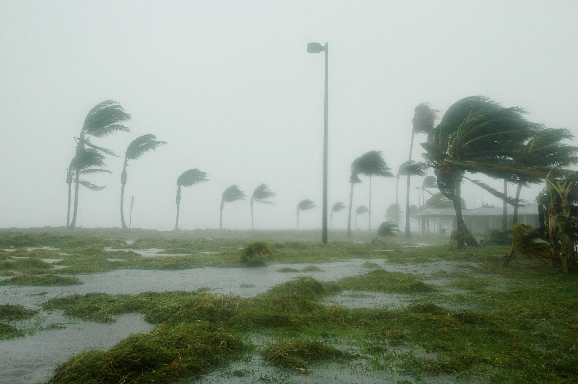 Hurricane in Florida