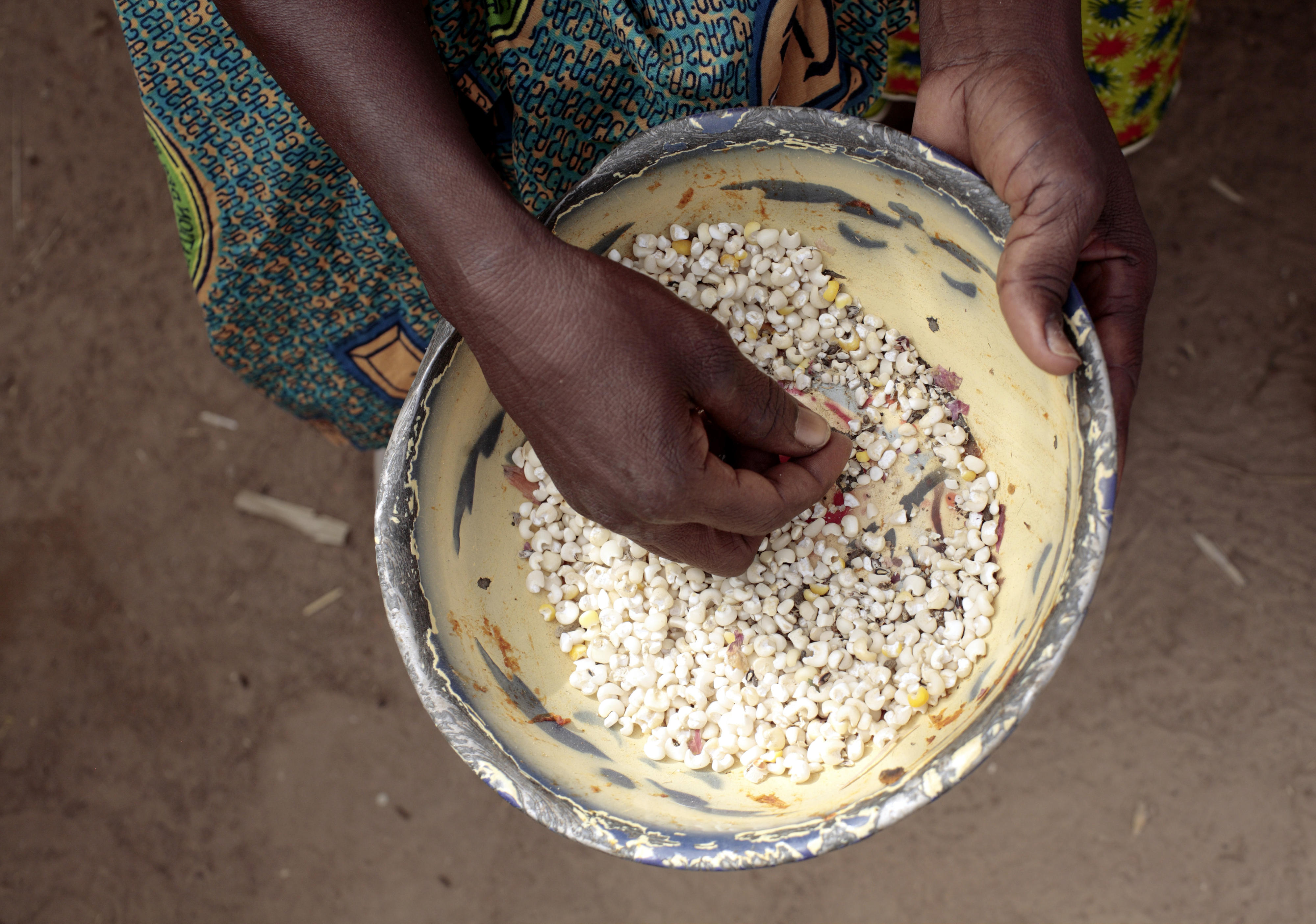 Maize in a bowl