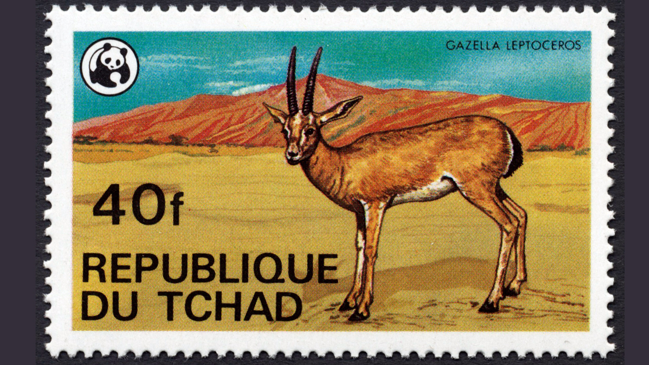 Stamp from Chad