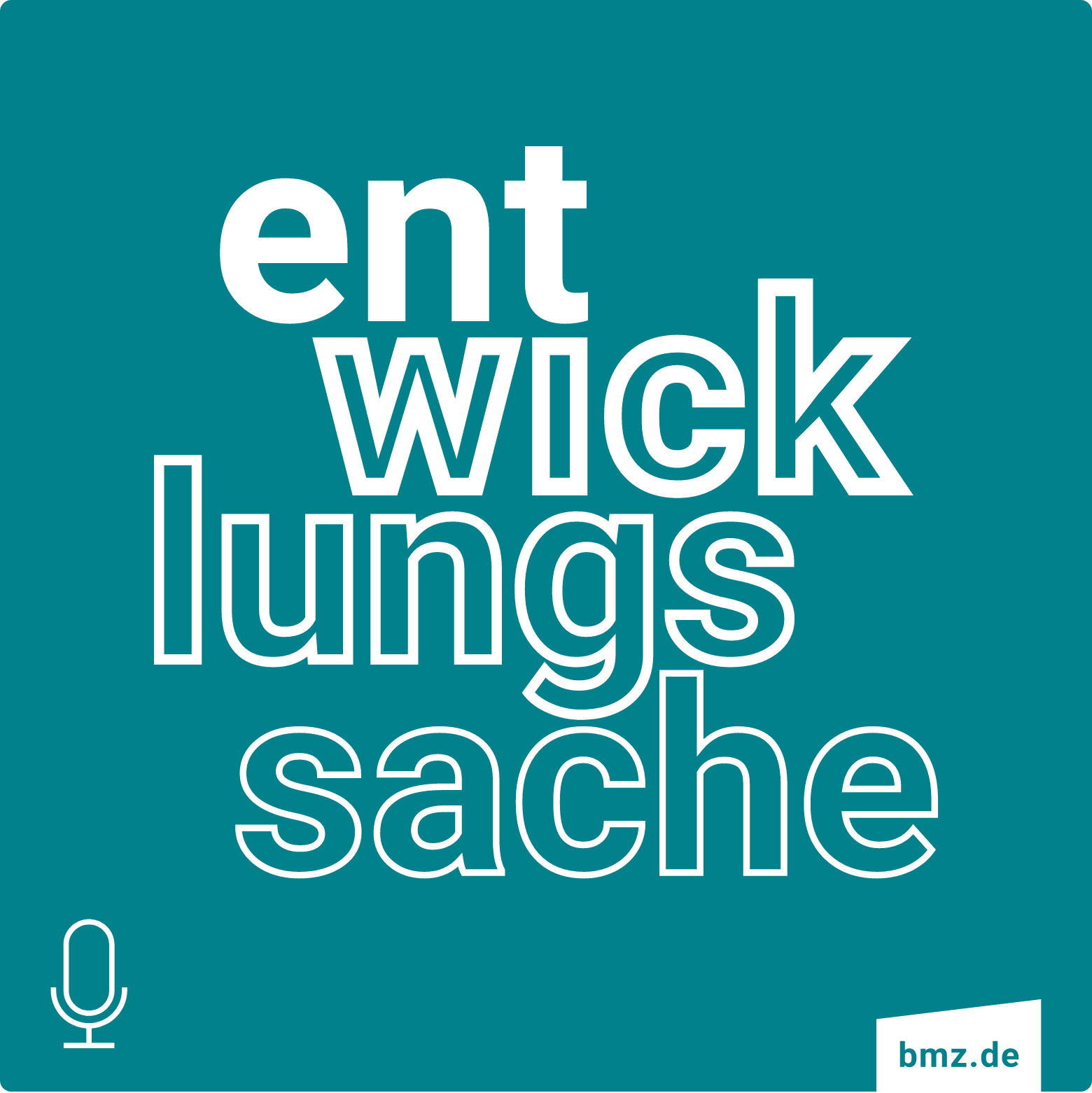 Entwicklungssache