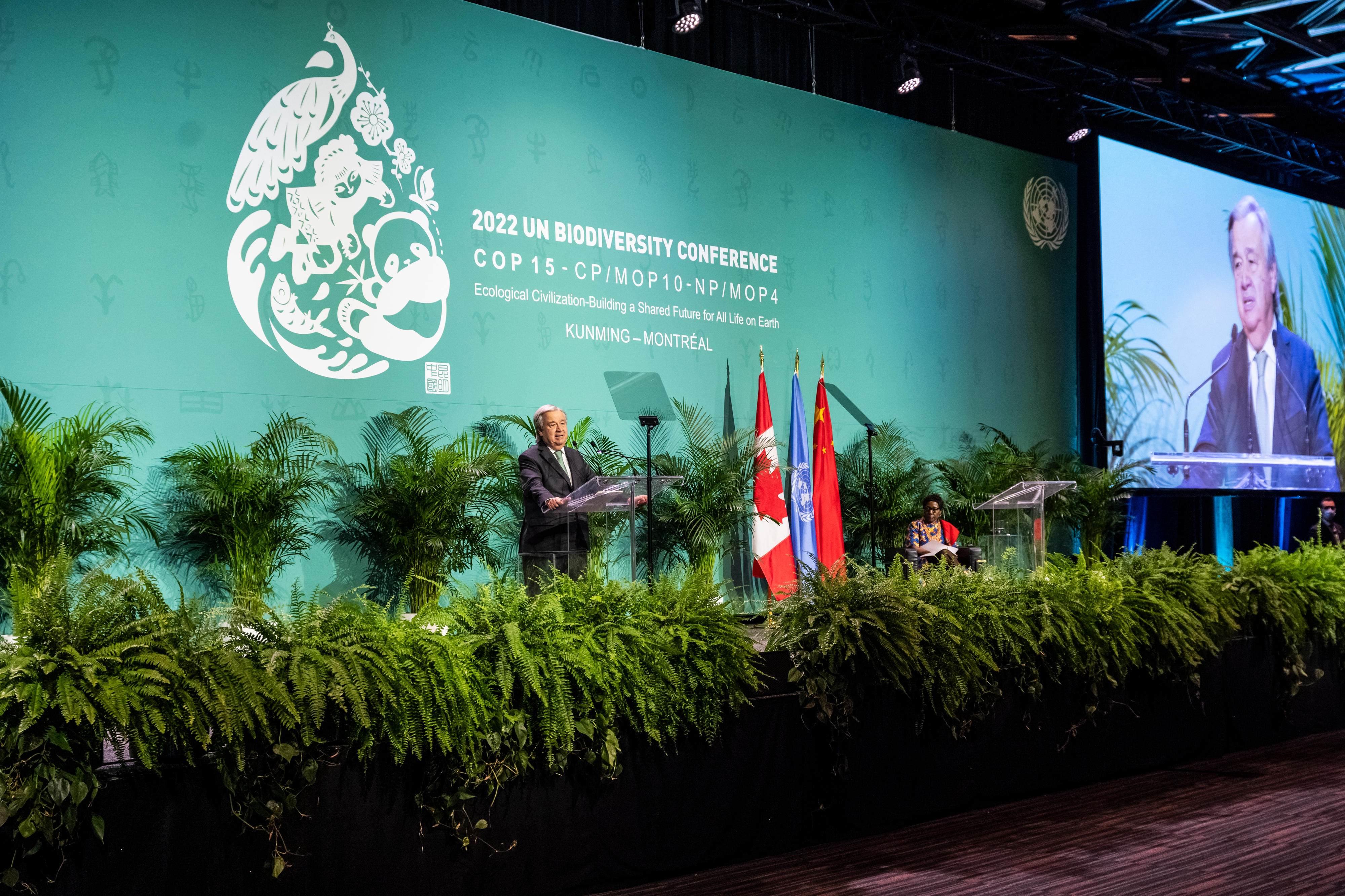 UN-Generalsekretär António Guterres während seiner Rede bei der Eröffnungsfeier der 15. Weltnaturkonferenz (COP15) in Montreal, Kanada