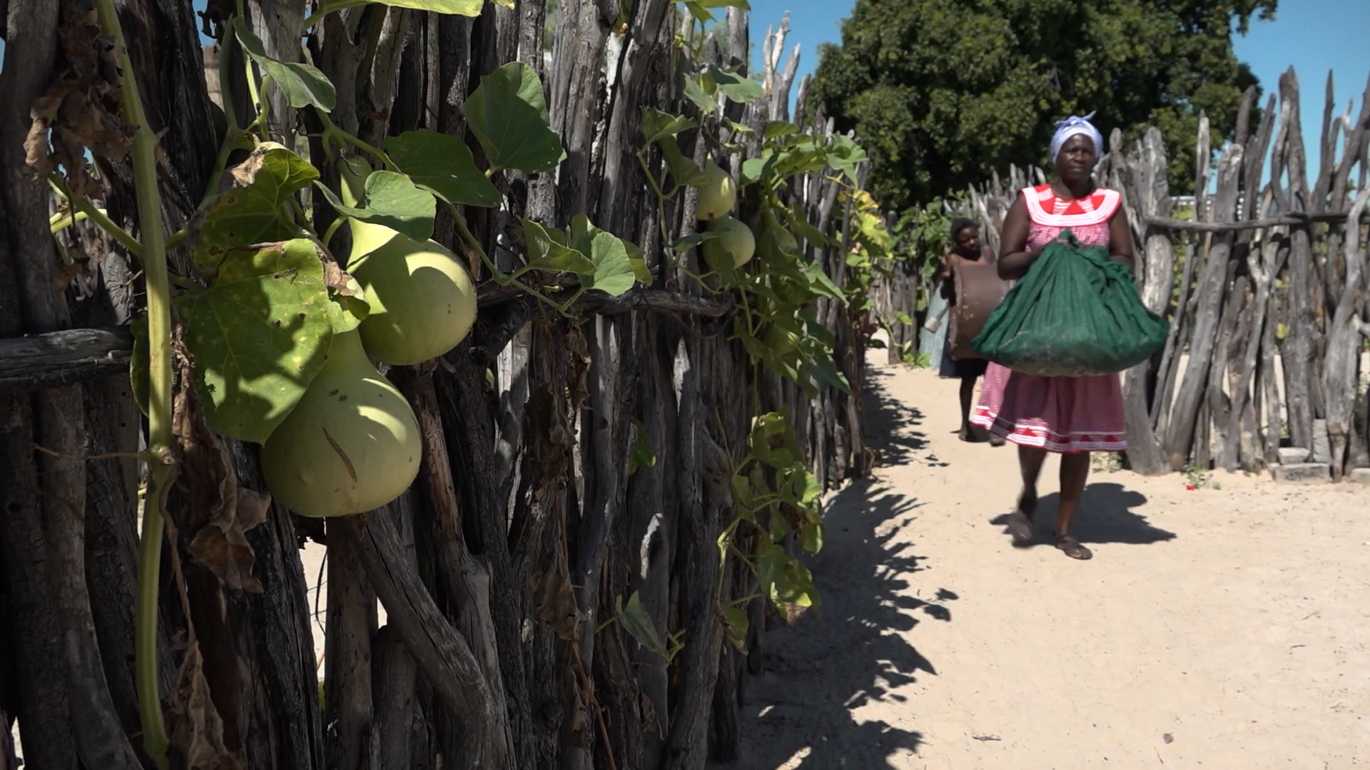 Standbild aus dem BMZ-Video: Biodiversität – lokale Gemeinschaften und Naturschutz