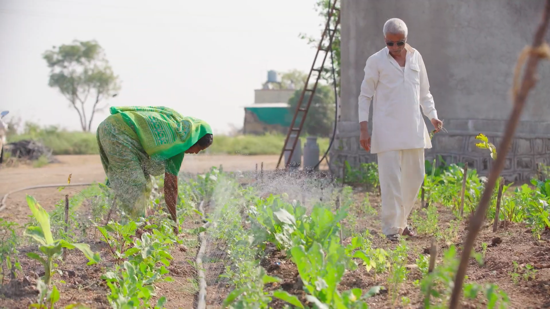 Standbild aus dem BMZ-Video: Gelebte Anpassung: Wege zu klimaresilienten Agrar- und Ernährungssystemen