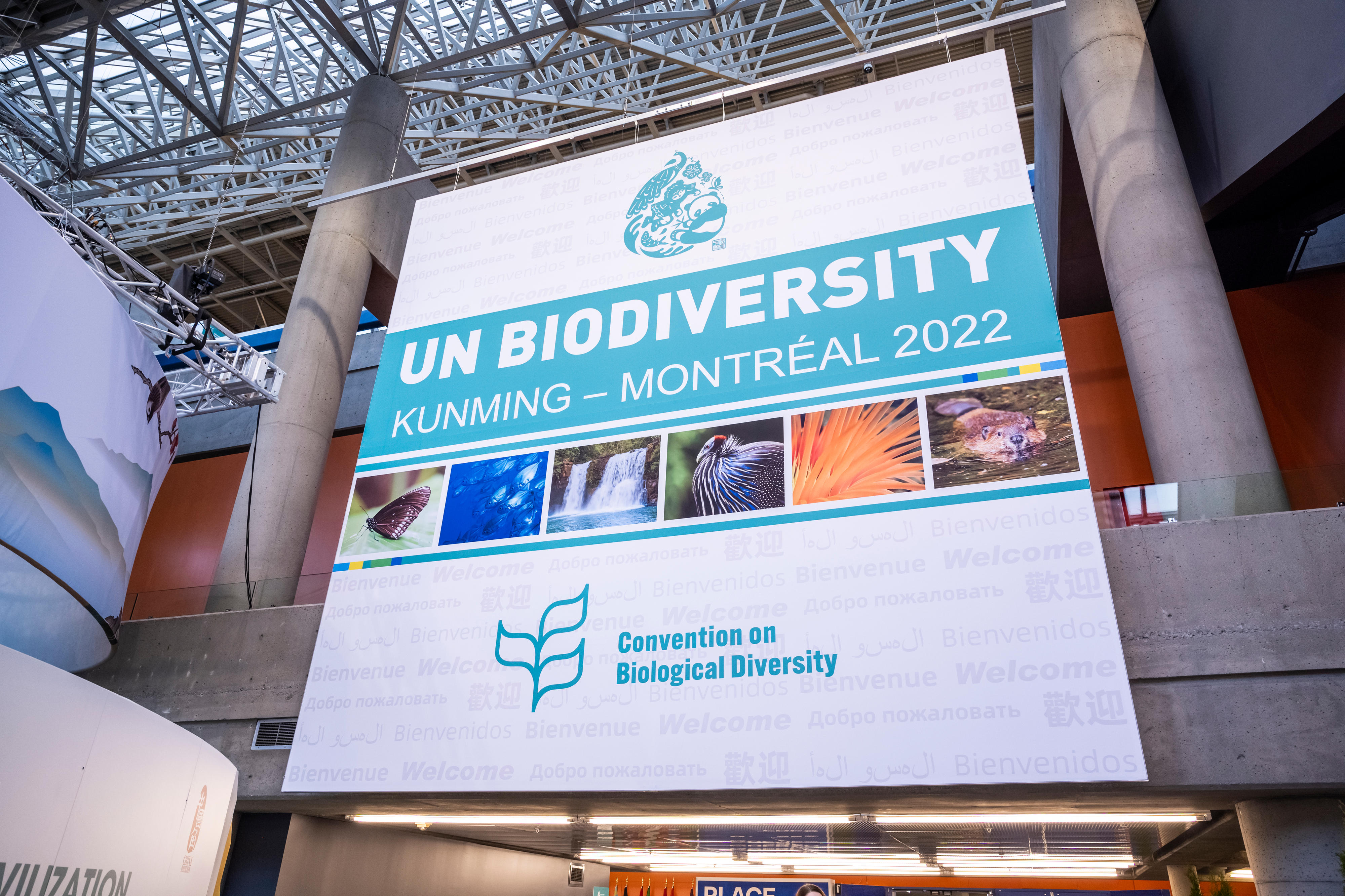 Poster of the 15. UN Biodiversity Conference in Montreal