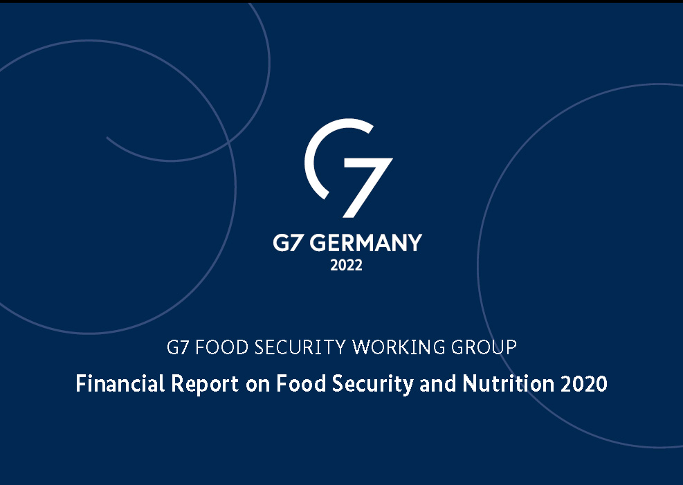 Cover G7 Financial Report on Food Security and Nutrition 2020