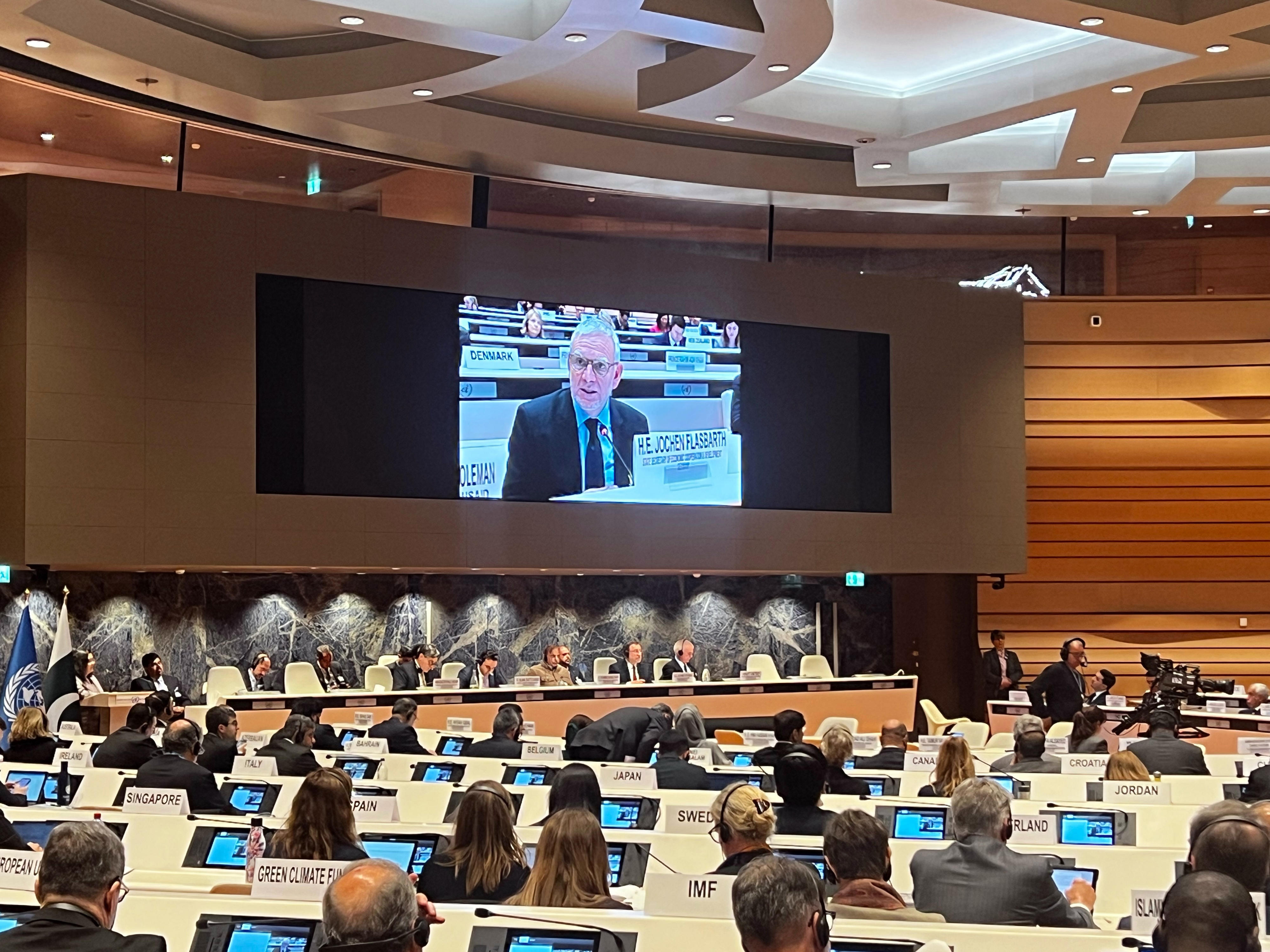 State Secretary Jochen Flasbarth speaks at the Pakistan Supporters Conference in Geneva