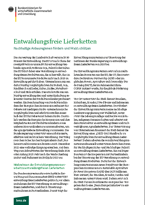 cover factsheet entwaldungsfreie lieferketten