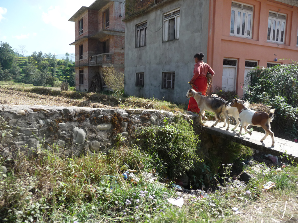 Bäuerin in Nepal