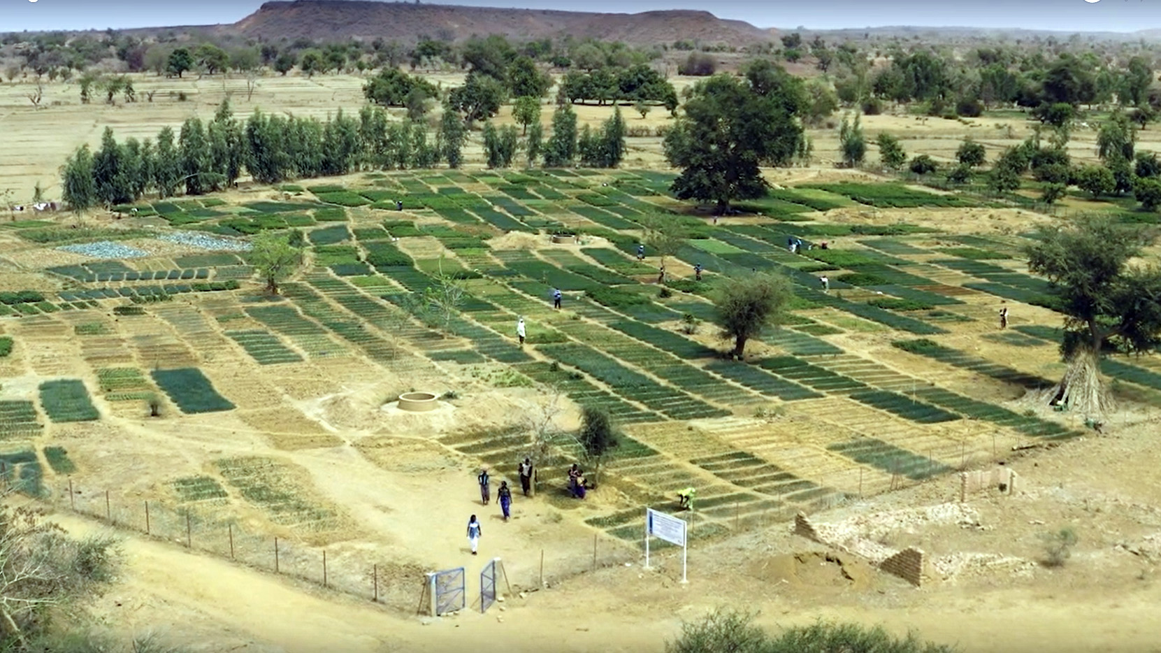 Standbild aus dem Video "Krisenbewältigung – Resilienz im Sahel stärken"