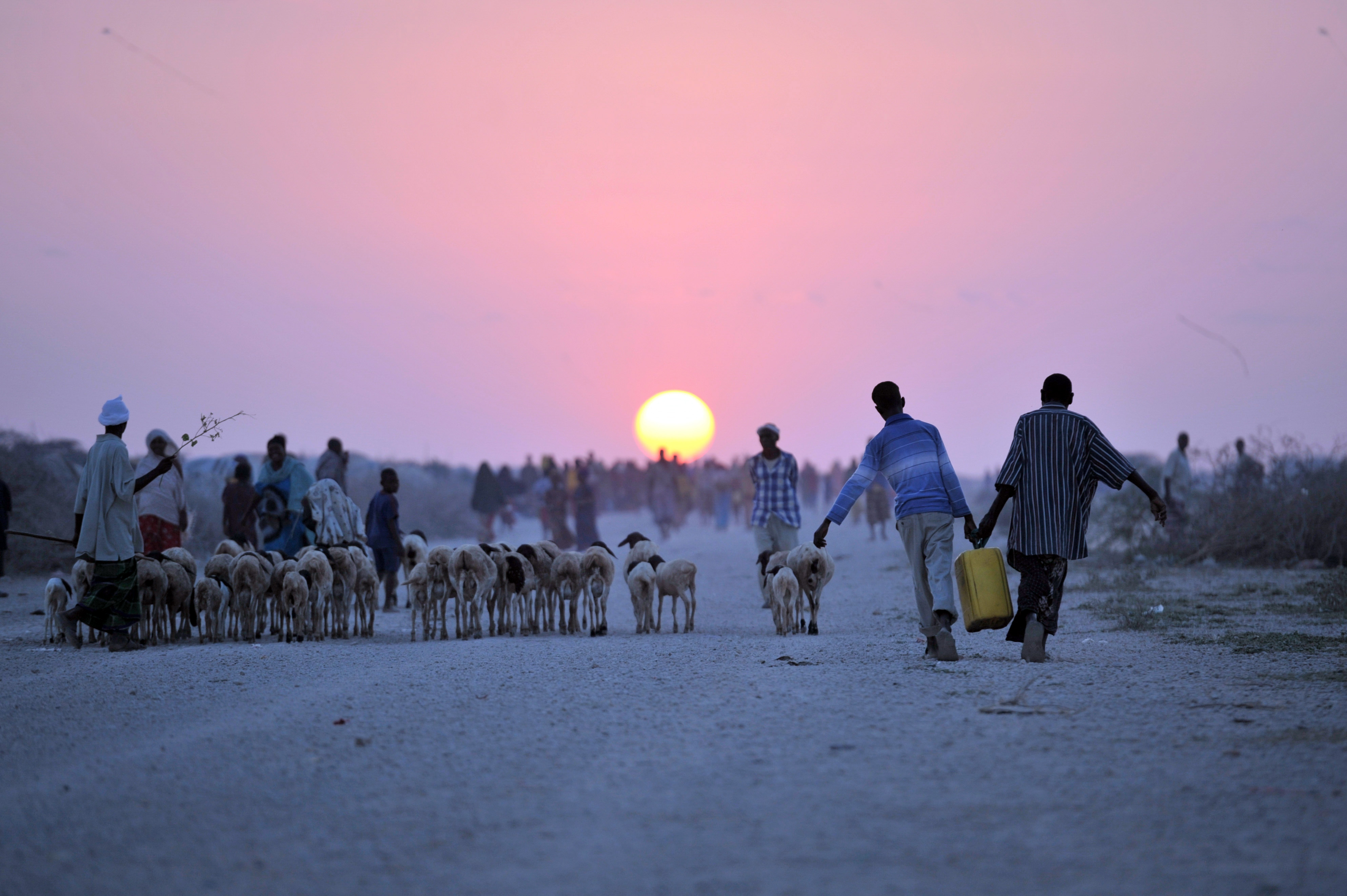 Two boys carry a water canister next to a flock of sheep near Jowhar, Somalia.