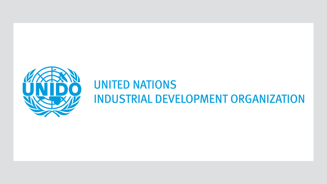 Logo: United Nations Industrial Development Organization (UNIDO)