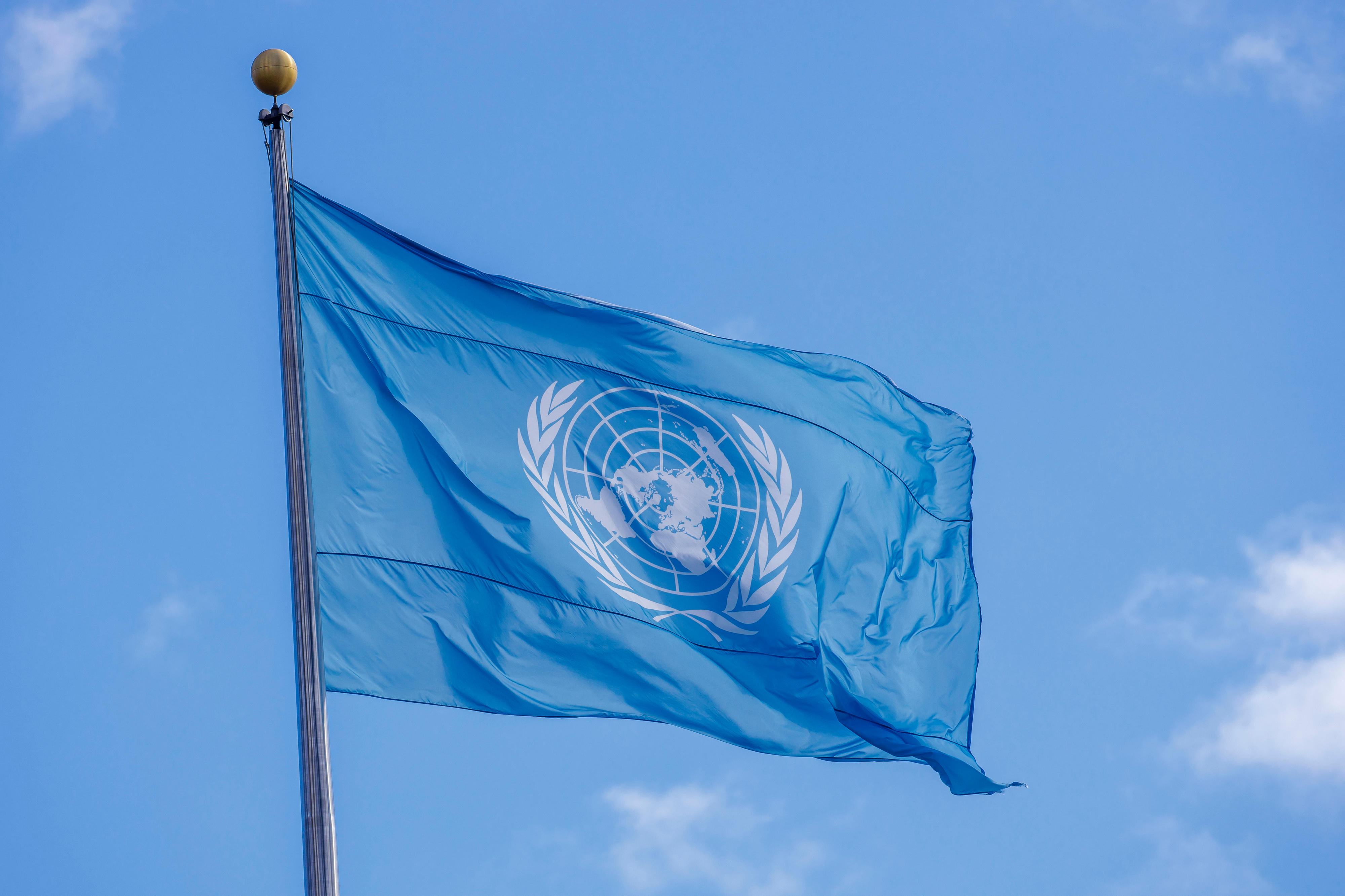 Flag of the United Nations