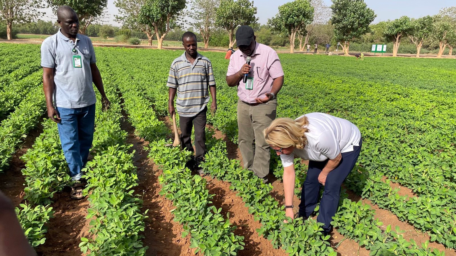 Federal Minister Svenja Schulze visiting the International Crops Research Institute for the Semi-Arid Tropics (ICRISAT) in Mali