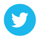 twitter-logo rund