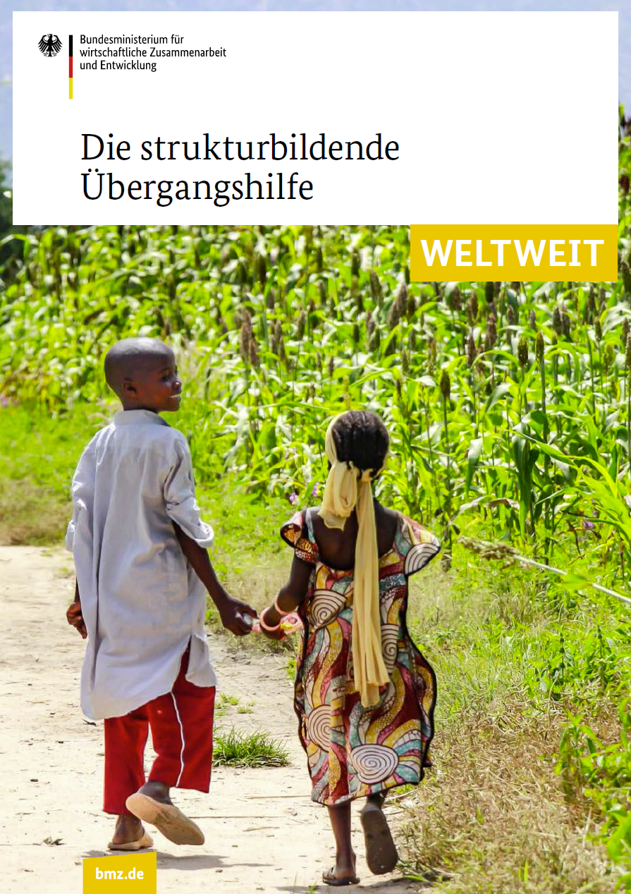 Titelblatt: Die strukturbildende Übergangshilfe weltweit