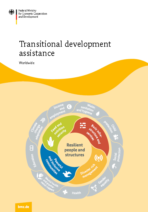 Cover: Transitional development assistance worldwide