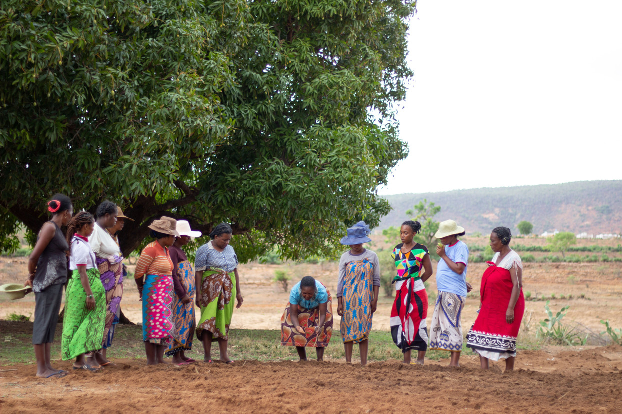 Eine Frauengruppe in Madagaskar bei einer Schulung auf einem Feld