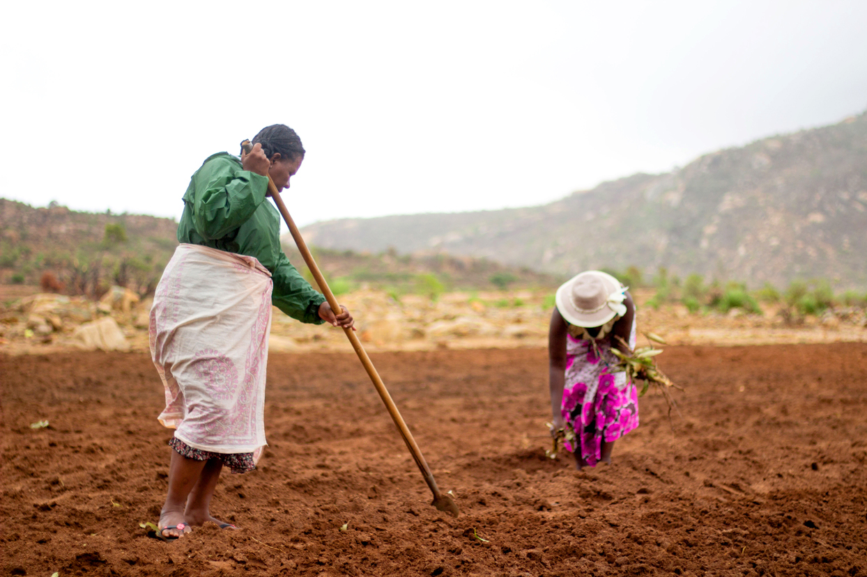 Zwei Frauen bei der Feldarbeit auf Madagaskar